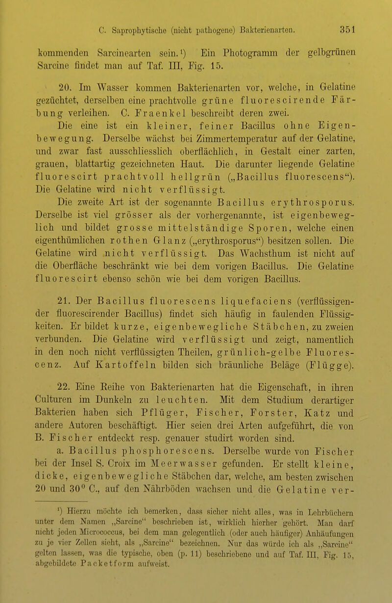 kommenden Sarcinearten sein.') Ein Photogramm der gelbgrünen Sarcine findet man auf Taf. III, Fig. 15. 20. Im Wasser kommen Bakterienarten vor, welche, in Gelatine gezüchtet, derselben eine prachtvolle grüne fluorescirende Fär- bung verleihen. C. Fraenkel beschreibt deren zwei. Die eine ist ein kleiner, feiner Bacillus ohne Eigen- bewegung. Derselbe wächst bei Zimmertemperatur auf der Gelatine, und zwar fast ausschliesslich oberflächlich, in Gestalt einer zarten, grauen, blattartig gezeichneten Haut. Die darunter liegende Gelatine fluorescirt prachtvoll hellgrün („Bacillus fluorescens). Die Gelatine wird nicht verflüssigt. Die zweite Art ist der sogenannte Bacillus erythrosporus. Derselbe ist viel grösser als der vorhergenannte, ist eigenbeweg- lich und bildet grosse mittelständige Sporen, welche einen eigenthümlichen rothen Glanz („erythrosporus) besitzen sollen. Die Gelatine wird nicht verflüssigt. Das Wachsthum ist nicht auf die Oberfläche beschränkt wie bei dem vorigen Bacillus. Die Gelatine fluorescirt ebenso schön wie bei dem vorigen Bacillus. 21. Der Bacillus fluorescens liquefaciens (verflüssigen- der fluorescirender Bacillus) findet sich häufig in faulenden Flüssig- keiten. Er bildet kurze, eigenbewegliche Stäbchen, zu zweien verbunden. Die Gelatine wird verflüssigt und zeigt, namentlich in den noch nicht verflüssigten Theilen, grünlich-gelbe Fluores- cenz. Auf Kartoffeln bilden sich bräunliche Beläge (Flügge). 22. Eine Reihe von Bakterienarten hat die Eigenschaft, in ihren Culturen im Dunkeln zu leuchten. Mit dem Studium derartiger Bakterien haben sich Pflüger, Fischer, Forster, Katz und andere Autoren beschäftigt. Hier seien drei Arten aufgeführt, die von B. Fischer entdeckt resp. genauer studirt worden sind. a. Bacillus phosphorescens. Derselbe wurde von Fischer bei der Insel S. Croix im Meerwasser gefunden. Er stellt kleine, dicke, eigenbewegliche Stäbchen dar, welche, am besten zwischen 20 und 30° C, auf den Nährböden wachsen und die Gelatine ver- ') Hierzu möchte ich bemerken, dass sicher nicht alles, was in Lehrbüchern unter dem Namen „Sarcine beschrieben ist, wirklich hierher gehört. Man darf nicht jeden Micrococeus, bei dem man gelegentlich (oder auch häufiger) Anhäufungen zu je vier Zellen sieht, als „Sarcine bezeichnen. Nur das würde ich als „Sarcine gelten lassen, was die typische, oben (p. 11) beschriebene und auf Taf. III. Fig. 15, abgebildete Paeketform aufweist.