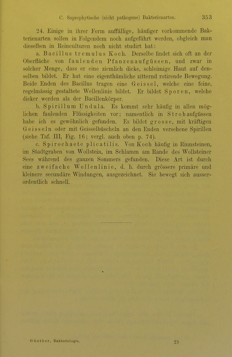 24. Einige in ihrer Form auffällige, häufiger vorkommende Bak- fcerienarten sollen in Folgendem uoch aufgeführt werden, obgleich man dieselben in Reineulturen uooh nicht studirt hat: a. Bacillus tremulus Koch. Derselbe findet sich oft an der Oberfläche von faulenden Pfanzenaufgüssen, und zwar in solcher Menge, dass er eine ziemlich dicke, schleimige Haut auf den- selben bildet. Er hnt eine eigenthümliche zitternd rotirende Bewegung. Beide Enden des Bacillus tragen eine Geis sei, welche eine feine, regelmässig gestaltete Wellenlinie bildet. Er bildet Sporen, welche dicker werden als der Bacillenkörper. b. Spirillum Undula. Es kommt sehr häufig in allen mög- lichen faulenden Flüssigkeiten vor; namentlich in Strohaufgüssen habe ich es gewöhnlich gefunden. Es bildet grosse, mit kräftigen G e i s s e 1 n oder mit Geisseibüscheln an den Enden versehene Spirillen (siehe Taf. III, Fig. 16; vergl. auch oben p. 74). c. Spirochaete plicatilis. Von Koch häufig in Rinnsteinen, im Stadtgraben von Wöllstein, im Schlamm am Rande des Wollsteiner Sees während des ganzen Sommers gefunden. Diese Art ist durch eine zweifache Wellenlinie, d. h. durch grössere primäre und kleinere secundäre Windungen, ausgezeichnet. Sie bewegt sich ausser- ordentlich schnell. Günther, Bakteriologie. 93