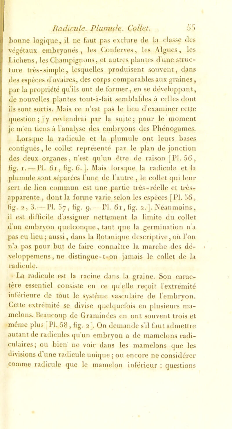 bonne logique, il ne faut pas exclure de la classe des végétaux embryonés , les Conferves, les Algues, les Lichens, les Champignons, et autres plantes d’une struc- ture très-simple, lesquelles produisent souvent, dans des espèces d’ovaires, des corps comparables aux graines, par la propriété qu'ils ont de former, en se développant, de nouvelles plantes tout-à-fait semblables à celles dont ils sont sortis. Mais ce n’est pas le lieu d’examiner cette question ; j’y reviendrai par la suite; pour le moment je m’en tiens à l’analyse des embryons des Phénogames. Lorsque la radicule et la plumule ont leurs bases contiguës, le collet représenté par le plan de jonction des deux organes, n’est qu’un être de raison [PI. 56, lig. i. — PI. 61, lig. 6.]. Mais lorsque la radicule et la plumule sont séparées l’une de l’autre , le collet qui leur sert de lien commun est une partie très-réelle et très- apparente , dont la forme varie selon les espèces [PI. 56, fig. 2, 3. — PI. 5y, lig. 9. — PI. 61, lig. 2.]. Néanmoins, il est difficile dassigner nettement la limite du collet d’un embryon quelconque, tant que la germination n’a pas eu lieu; aussi, dans la Botanique descriptive, où l’on n’a pas pour but de faire connaître la marche des dé- veloppemens, ne distingue-t-on jamais le collet de la radicule. • La radicule est la racine dans la graine. Son carac- tère essentiel consiste en ce quelle reçoit l'extrémité inlérieure de tout le système vasculaire de l’embryon. Cette extrémité se divise quelquefois en plusieurs ma- melons. Beaucoup de Graminées en ont souvent trois et même plus [PI. 58 , fig. 2]. On demande s’il faut admettre autant de radicules qu’un embryon a de mamelons radi- culaires; ou bien ne voir dans les mamelons que les divisions d une radicule unique ; ou encore ne considérer comme radicule que le mamelon inférieur : questions