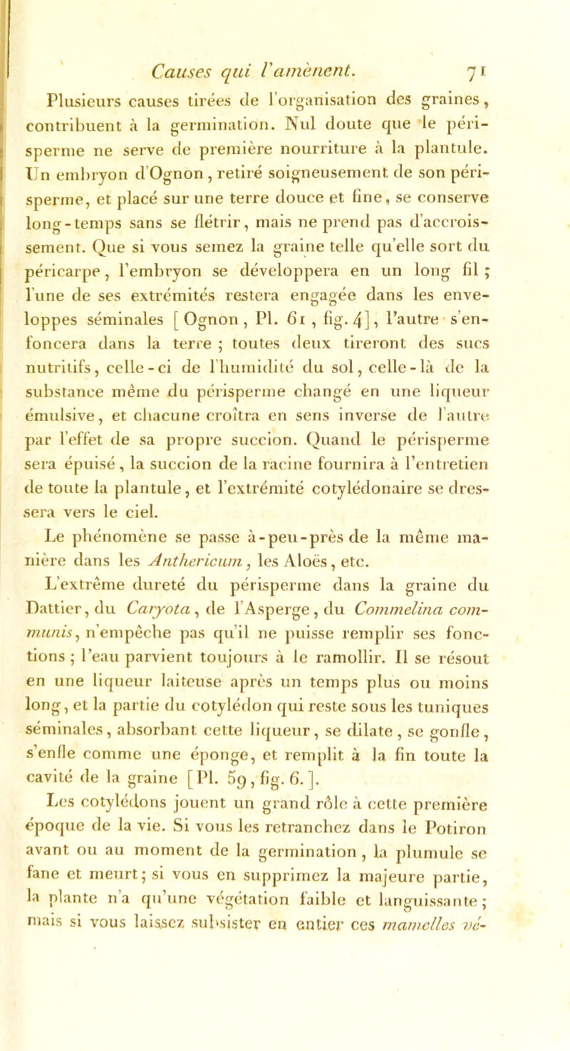 Plusieurs causes tirées de 1 organisation des graines, contribuent à la germination. Nul doute que le péri- sperme ne serve de première nourriture à la plantule. Un embryon d'Ognon , retiré soigneusement de son péri- sperme, et placé sur une terre douce et fine, se conserve long-temps sans se flétrir, mais ne prend pas d’accrois- sement. Que si vous semez la graine telle qu elle sort du péricarpe, l’embryon se développera en un long fil; l une de ses extrémités restera engagée dans les enve- loppes séminales [ Ognon , PI. 61 , fig. 4], l’autre s en- foncera dans la terre ; toutes deux tireront des sucs nutritifs, celle - ci de 1 humidité du sol, celle - là de la substance même du périsperme changé en une liqueur émulsive, et chacune croîtra en sens inverse de 1 autre par l’effet de sa propre succion. Quand le périsperme sera épuisé , la succion de la racine fournira à l’entretien de toute la plantule, et l’extrémité cotylédonaire se dres- sera vers le ciel. Le phénomène se passe à-peu-près de la même ma- nière dans les Anthericum, les Aloës, etc. L’extrême dureté du périsperme dans la graine du Dattier, du Caryota , de l’Asperge , du Commelina com- muais, n’empêche pas qu’il ne puisse remplir ses fonc- tions ; l’eau parvient toujours à le ramollir. Il se résout en une liqueur laiteuse après un temps plus ou moins long, et la partie du cotylédon qui reste sous les tuniques séminales, absorbant cette liqueur, se dilate, se gonfle, s’enfle comme une éponge, et remplit à la fin toute la cavité de la graine [IM. 59, fig. 6.]. Les cotylédons jouent un grand rôle à cette première époque de la vie. Si vous les retranchez dans le Potiron avant ou au moment de la germination, la plumule se fane et meurt; si vous en supprimez la majeure partie, la plante n’a qu’une végétation faible et languissante; mais si vous laissez subsister en entier ces mamelles vc-