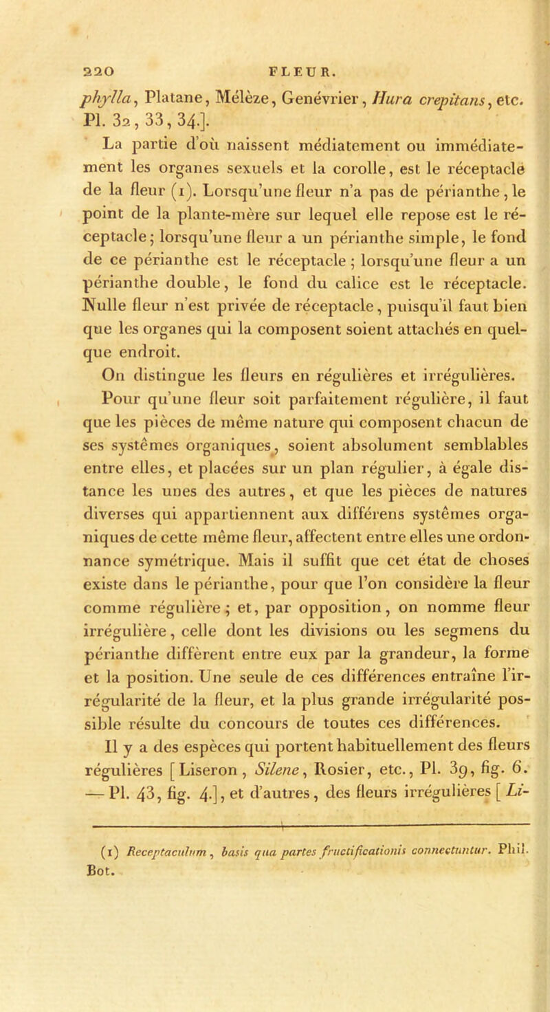 phylla, Platane, Mélèze, Genévrier, Ilura crepitans, etc. PI. 3a, 33, 34.]. La partie d’où naissent médiatement ou immédiate- ment les organes sexuels et la corolle, est le réceptacle de la fleur (1). Lorsqu’une fleur n’a pas de périanthe, le point de la plante-mère sur lequel elle repose est le ré- ceptacle; lorsqu’une fleur a un périanthe simple, le fond de ce périanthe est le réceptacle; lorsqu’une fleur a un périanthe double, le fond du calice est le réceptacle. Nulle fleur n’est privée de réceptacle, puisqu’il faut bien que les organes qui la composent soient attachés en quel- que endroit. On distingue les fleurs en régulières et irrégulières. Pour qu’une fleur soit parfaitement régulière, il faut que les pièces de même nature qui composent chacun de ses systèmes organiques, soient absolument semblables entre elles, et placées sur un plan régulier, à égale dis- tance les unes des autres, et que les pièces de natures diverses qui appartiennent aux différens systèmes orga- niques de cette même fleur, affectent entre elles une ordon- nance symétrique. Mais il suffit que cet état de choses existe dans le périanthe, pour que l’on considère la fleur comme l’égulière ; et, par opposition, on nomme fleur irrégulière, celle dont les divisions ou les segmens du périanthe diffèrent entre eux par la grandeur, la forme et la position. Une seule de ces différences entraîne l’ir- régularité de la fleur, et la plus grande irrégularité pos- sible résulte du concours de toutes ces différences. Il y a des espèces qui portent habituellement des fleurs régulières [Liseron, Silene, Rosier, etc., PI. 3 9, fig. 6. — PI. 43, fig. 4-] j et d’autres, des fleurs irrégulières [ Li- (1) Recept/aculnm, basis qua partes fructifications conneetuntur. Phi). Bot.