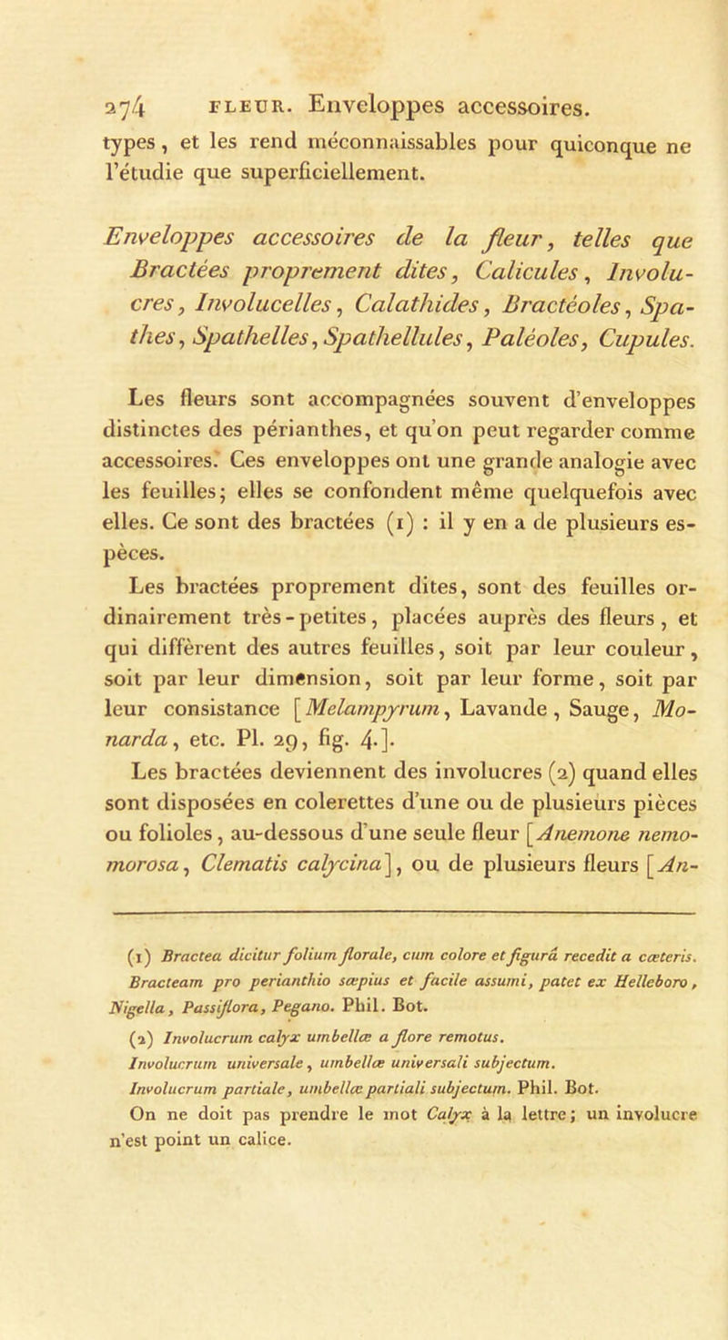 types, et les rend méconnaissables pour quiconque ne l’étudie que superficiellement. Enveloppes accessoires de la fleur, telles que Bractées proprement dites, Calicules, lnvolu- cres, lnvolucelles, Calathides, Bractèoles, Spa- thes, Spathelles, Spatliellules, Paléoles, Cupules. Les fleurs sont accompagnées souvent d’enveloppes distinctes des périanthes, et qu’on peut regarder comme accessoires.' Ces enveloppes ont une grande analogie avec les feuilles; elles se confondent même quelquefois avec elles. Ce sont des bractées (i) : il y en a de plusieurs es- pèces. Les bractées proprement dites, sont des feuilles or- dinairement très - petites, placées auprès des fleurs , et qui diffèrent des autres feuilles, soit par leur couleur, soit par leur dimension, soit par leur forme, soit par leur consistance [ Melampyrum, Lavande , Sauge, Mo- narda, etc. PI. 29, fig. 4-]« Les bractées deviennent des involucres (2) quand elles sont disposées en colerettes d’une ou de plusieurs pièces ou folioles, au-dessous d'une seule fleur [ Anemone nemo- morosa, Clematis calycina], ou de plusieurs fleurs \_An- (1) Bractea dicitur folium florale, curri colore etfigura recedit a cœteris. Bracteam pro perianthio sœpius et facile assumi, patet ex Uelleboro, Nigella, Passif ora, Pegano. Phil. Bot. (2) Involucrurn cafyx umbcllœ a fore remotus. Involucrum universale, umbcllœ universali subjectum. Involucrurn partiale, umbellœpartiali subjectum. Phii. Bot. On ne doit pas prendre le mot Ca/yx à la lettre ; un involucre n’est point un calice.