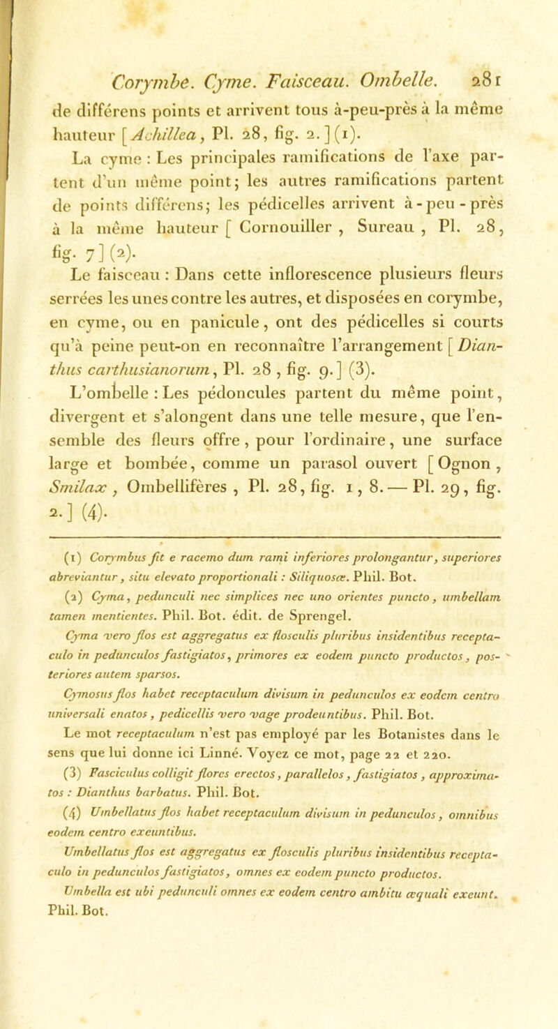 Corymbe. Cyme. Faisceau. Ombelle. 28 r de différens points et arrivent tous à-peu-près à la même hauteur [ Achillea, PI. 28, fig. 2.](i). La cyme : Les principales ramifications de l’axe par- lent d’un même point; les autres ramifications partent de points différens; les pédicelles arrivent à-peu-près à la même hauteur [ Cornouiller , Sureau, PI. 28, %• 7] (1 2 3 4> Le faisceau : Dans cette inflorescence plusieurs fleurs serrées les unes contre les autres, et disposées en corymbe, en cyme, ou en panicule, ont des pédicelles si courts qu’à peine peut-on en reconnaître l’arrangement f Dian- thus carthusianorum, PI. 28 , fig. 9.] (3). L’ombelle : Les pédoncules partent du même point, divergent et s’alongent dans une telle mesure, que l’en- semble des fleurs offre, pour l’ordinaire, une surface large et bombée, comme un parasol ouvert [ Ognon , Smilax , Ombellifères , PI. 28, fig. x , 8.— PI. 29, fig. 2- ] (4). (1) Corymbus fit e racerno dum rarni inferiores prolongantur, superiores abreviantur, situ elevatoproportionali : Siliquosœ. Pliil. Bot. (2) Cyma, pedunculi nec simplices nec uno orientes puncto, umbcllain. tamen mentientes. Pliil. Bot. édit, de Sprengel. Cyma -vero flos est aggregatus ex flosculis plnribus insidentibus recepta- culo in pedunculos fastigiatos, primores ex eodem puncto productos, pos- teriores autem sparsos. Cjmosus flos habet receptaculum divisum in pedunculos ex eodem centra universali enatos, pedicellis 'vero 'vage prodeuntibus. Phil. Bot. Le mot receptaculum n’est pas employé par les Botanistes dans le sens que lui donne ici Linné. Voyez ce mot, page 22 et 220. (3) Fasciculus colligit flores erectos, parallelos, fastigiatos, approxima- tos : Dianthus barbatus. Pliil. Bot. (4) Umbellatus flos habet receptaculum divisum in pedunculos, omnibus eodem centro exeuntibus. Umbellatus flos est aggregatus ex flosculis pluribus insidentibus recepta- culo in pedunculos fastigiatos, omnes ex eodem puncto productos. Umbe/la est ubi pedunculi omnes ex eodem centro ambitu cequali exeunt. Phil. Bot.