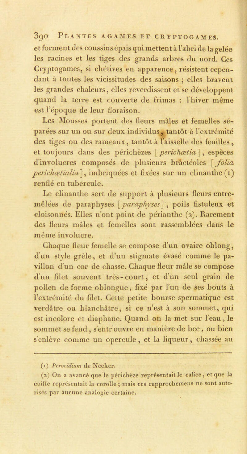 et forment des coussins épais qui mettent à l’abri de la gelée les racines et les tiges des grands arbres du nord. Ces Cryptogames, si chétives en apparence, résistent cepen- dant à toutes les vicissitudes des saisons ; elles bravent les grandes chaleurs, elles reverdissent et se développent quand la terre est couverte de frimas : l’hiver même est l’époque de leur floraison. Les Mousses portent des fleurs males et femelles sé- parées sur un ou sur deux individus, tantôt à l’extrémité des tiges ou des rameaux, tantôt à l’aisselle des feuilles , et toujours dans des périchèzes [perichœtia~\ , espèces d’involucres composés de plusieurs bràctéoles 'y folia, perichcçtialia], imbriquées et fixées sur un clinanthe(î) renflé en tubercule. Le clinanthe sert de support à plusieurs fleurs entre- mêlées de paraphyses [ paraphyses ] , poils fistuleux et cloisonnés. Elles n’ont point de périanthe (2). Rarement des fleurs mâles et femelles sont rassemblées dans le même involucre. Chaque fleur femelle se compose d’un ovaire oblong, d’un style grêle, et d’un stigmate évasé comme le pa- villon d’un cor de chasse. Chaque fleur mâle se compose d’un filet souvent très-court, et d’un seul grain de pollen de forme oblongue, fixé par l’un de ses bouts à l’extrémité du filet. Cette petite bourse spermatique est verdâtre ou blanchâtre, si ce n’est à son sommet, qui est incolore et diaphane. Quand on la met sur l’eau, le sommet se fend, s’entr ouvre en manière de bec , ou bien s'enlève comme un opercule, et la liqueur, chassée au (1) Perocidiu/n de Necker. (a) On a avancé que le périchèzc représentait le calice, et que la coiffe représentait la corolle ; mais ces rapprocheinens ne sont auto- risés par aucune analogie certaine.