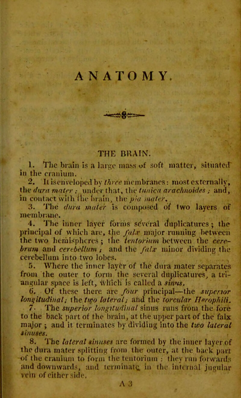 ANATOMY THE BRAIN. 1. The brain is a large mass of soft matter, situated' in the cranium. 2. It iseiiveloped by three membranes: most externally, the (turn mater .- under that, the tunica arachnoides ; and, in contact with ilie brain, the jvia mater. 3. The dura muter is composed of two layers of membrane. 4. The inner layer forms several uuplicatures; the principal of which are, the falx major miming between the two hemispheres; tlie tentorium between the cere- brum and cerebellum ; and the falx minor dividing the cerebellum into two lobes. 5. Where the inner laytr of the dura mater separates from the outer to form the several duplicatures, a tri- angular space is left, tVlticK is called a sinus. 6. Of these there are four principal—the superior longitudinal; the two lateral; and the torcular Ilerophili. 7- The superior longitudinal sinus runs from the fore to the back part of the brain, at the upper part of the falx major ; aud it terminates by dividing into the two lateral sinuses. 8. The lateral sinuses are formed by the inner layer of the dura mater splitting from the outer, at the back part -of the cranium to form the tentorium : they run forwards and downwards, and terminate, in the internal jugular vein of either side.