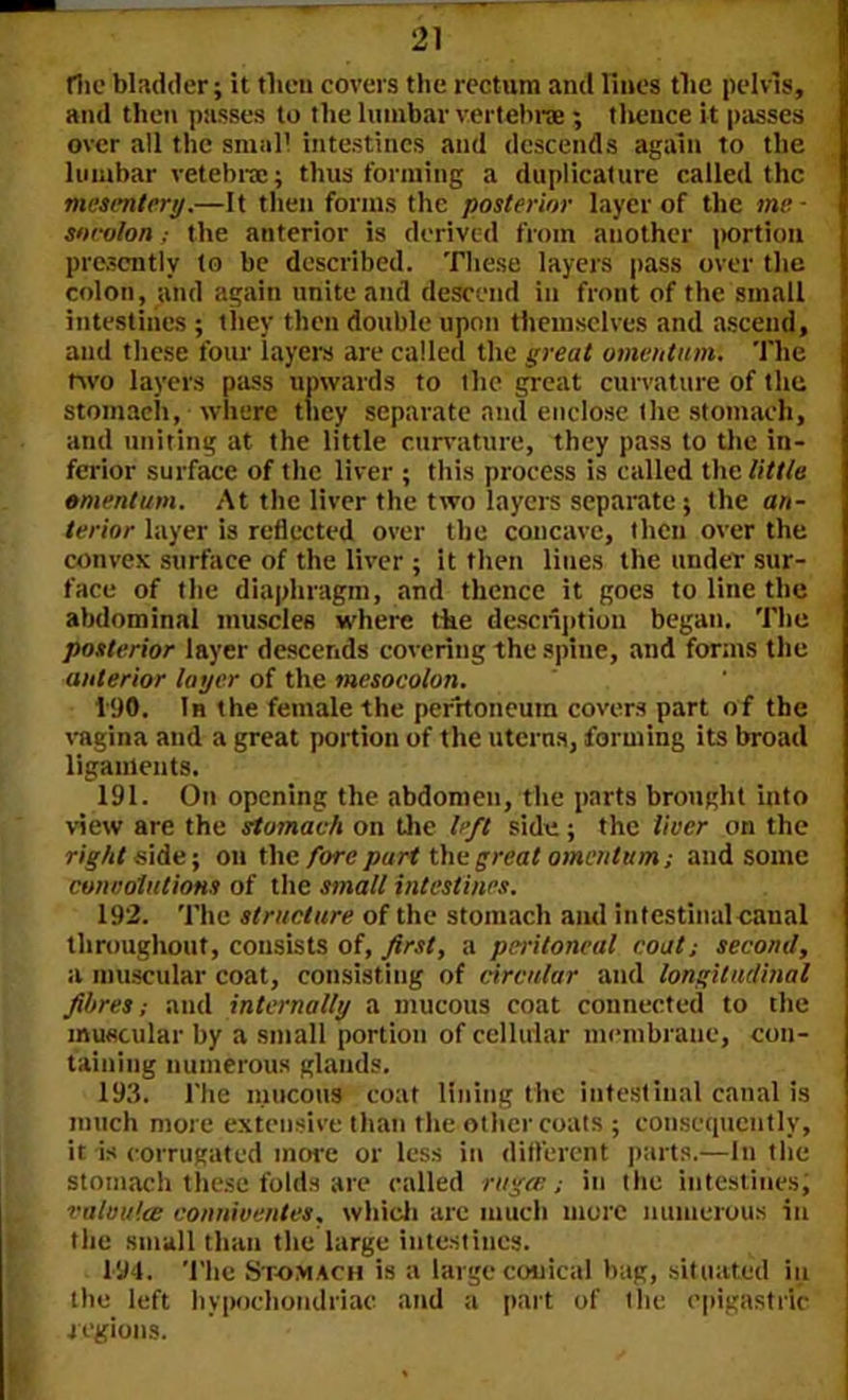 flic bladder; it then covers the rectum and lines tlic pelvis, and then passes to the lumbar vertebra ; thence it passes over all the small intestines and descends again to the lumbar vetebra; thus forming a duplicature called the mesentery.—It then forms the posterior layer of the me- sorolon; the anterior is derived from another portion presently to be described. These layers pass over the colon, and again unite and descend in front of the small intestines ; they then double upon themselves and ascend, and these four layers are called the great omentum. The two layers pass upwards to the great curvature of the stomach, where they separate and enclose the stomach, and uniting at the little curvature, they pass to the in- ferior surface of the liver ; this process is called the little omentum. At the liver the two layers separate ; the an- terior layer is reflected over the concave, then over the convex surface of the liver ; it then lines the under sur- face of the diaphragm, and thence it goes to line the abdominal muscles where the description began. The posterior layer descends covering the spine, and forms the anterior layer of the mesocolon. 190. In the female the peritoneum covers part of the vagina and a great portion of the uterna, forming its broad ligaments. 191. On opening the abdomen, the parts brought into view are the stomach on the left side; the liver on the right side; on the fore part the great omentum; and some convolutions of the small intestines. 192. The structure of the stomach and intestinal-canal throughout, consists of, first, a peritoneal coat; second, a muscular coat, consisting of circular and longitudinal fibres; and internally a mucous coat connected to the muscular by a small portion of cellular membrane, con- taining numerous glands. 193. l'he mucous coat lining the intestinal canal is much more extensive than the other coats ; consequently, it is corrugated more or less in different parts.—In the stomach these folds are called ruga;; in tlie intestines, valvulee conniventes, which arc much more numerous in the small than the large intestines. 1-94. The Stomach is a large conical bag, situated in the left hypochondriac and a part of t lie epigastric regions.