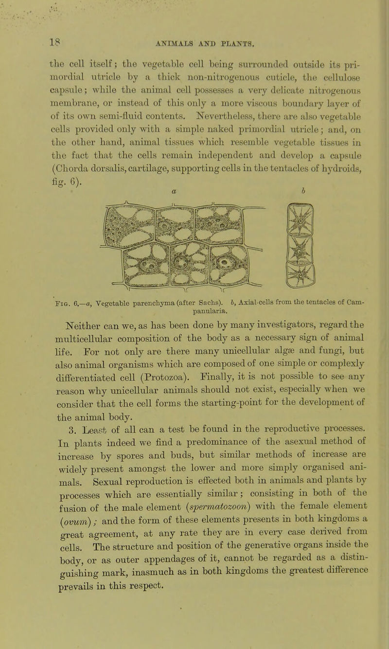the cell itself; the vegetable cell being surrounded outside its pri- luordiiil utricle by a thick non-nitrogenous cuticle, the cellulose capsule; while the animal cell possesses a very deHcate nitrogenous membrane, or instead of this only a more viscous boundary layer of of its own. semi-fluid contents. Nevertheless, there are also vegetable cells provided only with a simple naked primordial utricle; and, on the other hand, animal tissues which resemble vegetable tissues in the fact that the cells remain independent and develop a capsule (Chorda dorsalis, cartilage, supporting cells in the tentacles of hydroids, fiff. 6). Fig. 6,—a, Vegetable parenchyma (after Sachs). 6, Axial-cells from the tentacles of Cam- panularia. Neither can we, as has been done by many investigators, regard the multicellular composition of the body as a necessary sign of animal life. For not only are there many unicellular algse and fungi, but also animal organisms which are composed of one simple or complexly differentiated cell (Protozoa). Finally, it is not possible to see any reason why unicellular animals should not exist, especially when we consider that the cell forms the starting-point for the development of the animal body. 3. Least of all can a test be found in the reproductive processes. In plants indeed we find a predominance of the asexual method of increase by spores and buds, but similar methods of increase are widely present amongst the lower and more simply organised ani- mals. Sexual reproduction is effected both in animals and plants by processes which are essentially similar; consisting in both of the fusion of the male element {spermatozoon) with the female element {ovum) ; and the form of these elements presents in both kingdoms a great agreement, at any rate they are in every case deiived from cells. The structure and position of the generative organs inside the body, or as outer appendages of it, cannot be regarded as a distin- guishing mark, inasmuch as in both kingdoms the greatest difference prevails in this respect.