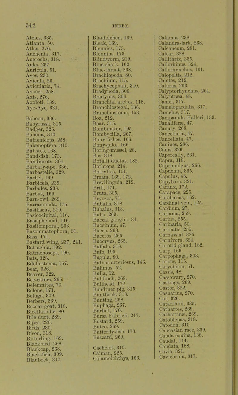Ateles, 335. Atlanta, 50. Atlas, 27G. Auchcnia, 317. Auerochs, 318. Auks, 257. Auricula, 51. Aves, 230. Avicula, 2G. Avicularia, 74. Avocet, 258. Axis, 276. Axolotl, 189. Aye-Aye, 331. Baboon,336. Babyrussa, 315. Badger, 326. Balasna, 310. Balaeniceps, 258. Balsenoptera, 310. Balistes, 168. Band-fish, 173. Bandicoots, 304. Barbary-ape. 336. Barbastelle, 329. Barbel, 169. Barbicels, 239. Barbules, 238. Barbus, 169. Barn-owl, 269. BaiTamunda, 175. Basiliscus, 219. Basioccipital, 116. Basisphenoid, 116. Basitemporal, 233. Basommatophora, 51. Bass, 171. Bastard wing, 237, 241. Batrachia, 192. Batrachoseps, 190. Bats, 328. Bdellostoma, 157. Bear, 326. Beaver, 322. Bee-eaters, 265', Belemnites, 70. Belone, 171. Beluga, 309. Berbers, 339. Bezoar-goat, 318. Bicellariidffi, 80. Bile duct, 289. Bipcs, 220. Birds, 230. Bison, 318. Bittcrling, 169. Blackbird, 268. Blackcap, 268. Black-fish, 309. Blaubock, 317. Blaufclcheii, 169. Bleak, 169. Blennies, 173. Blennius, 173. Bliiidworm. 219. Blue-shark,' 162. Blue-throat, 268. Brachiopoda, 80. Bracbium, 115. Brachycephali, 340. Bradypoda, 306. Brady pus, 306. Branchial arches, 118. Branchiostegal, 136. Branchiostoma, 153. Boa, 212. Boar, 315. BomlDinator, 195. Bombycilla, 267. Bony fishes, 166. Bony-pike, 166. Boring-mussel, 28. Bos, 318. Botalli ductus. 182. Bothrops, 214. Botryllus, 101. Bream, 169, 172. Brevilinguia. 219. Brill, 171. Bruta, 305. Bryozoa, 71. Bubalis, 318. Bubalus, 318. Bubo, 269. Buccal ganglia, 34. Buccinum, 47. Bucco, 263. Buceros, 265. Bucorvus. 265. Buffalo, 318. Bufo, 195. Bugula, 80. Bulbus arteriosus, 146. Bulimus, 52. Bulla. 52. Bullfinch, 268. Bullhead, 172. Biindtner pig, 315. Buntbock, 318. Bunting, 268. Buphaga, 267. Burbot, 170. Bursa Fabricii. 247. Bustard, 259. Buteo. 269. Butterfly-fish, 173. Buzzard, 269. Cachelot, 310. Caiman, 225. Calamoichthys, 106. Calamus, 238. Calandra-lark, 268. Calcaneum, 281. Calcar, 328. Callithrix, 335. Callorhinus, 324. Callorhynciius, 161. Calopeltis, 212. Calotes, 219. Calurus, 263. Calyptorhynchus, 264. Calyptrsea, 48. Camel, 317. Camelopardalis, 317. Camelus, 317. Campanula Halleri, 139. Canaliferse, 47. Canary, 268. Cancellaria, 47, Cancellata, 47. Canines, 286. Canis, 326. Capp.rcally, 261. Capra, 318. Caprimulgus. 266. Capuchin, 335. Capulus, 48. Capybara, 321. Caranx, 172. Carapace, 225. Carcharias, 162. Cardinal vein, 125. Cardium, 27. Cariama, 259. Carina, 255. Cariuaria, 50. Carinatffi, 255. Carnassial, 325. Carnivora, 324. Carotid gland. 182. Carp, 169. Carpophaga, 303. Carpus, 115. Carychium, 51. Cassis, 48. Cassowary, 270. Castings, 269. Castor, 322. Casaarius, 270. Cat, 326. Catarrhini, 335. Cathartes. 269. Cathartinffi, 269. Catoblepas, 318. Catodon, 310. Caucasian race, 339. Cauda equina, 138. Caudal, 114. Caudata, 188. Cavia, 321. Cavicornia, 317.
