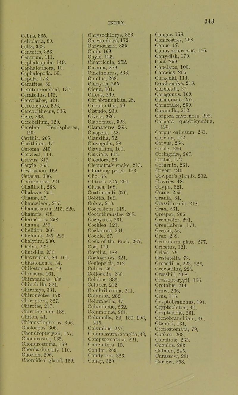 Cebus, 335. Cellularia, 80. Celts, 339. Centetes, .•<23. Centrum. 111. Cepbalaspidffi, 149. Cephalophora, 10. Cephalopoda, 56. Cepola. 173. Ceratites, 69. Ceratobranchial, 137. Ceratodiis, 175. Cercolabes, 321. Cercoleptes, 326. Cercopitbecus, 336. Cere, 238. Cerebellum, 120. Cerebral Hemispheres, 120. Certhia, 265. Cerithium, 47. Ceroma, 246. Cervical, 114. Cervus, 317. Ceryle, 265. Cestraciou, 162. Cetacea. 306. Cetiosaurus, 224. Chaffinch, 268. Chalazae, 251. Chama, 27. ChamEeleon, 217. Chamsesaura, 215, 220. Chamois, 318. Charadrius, 258. Chauna, 259. Chelidon, 266. Chelonia, 225, 229. Chelydra, 230. Chelys, 229. Chersidse, 230. Chevreulius, 86, 101. Chiastoneura, 34. Chilostomata, 79. Chimaera, 161. Chimpanzee, 336. Chinchilla, 321. Chiromys, 331. Chironectes, 173. Chiroptera. 327. Chirotes, 217. Chirotherium, 188. Chiton, 41. Chlamydophorus, 306. Choloepus, 306. Chondroptciygii, 157. Chondrostei, 165. Chondrostoma, 169. Chorda dorsalis, 110. Chorion, 296. Choroideal gland, 139. Chrysochlorys, 323. Chrysophrys, 172. Chrysothrix, 335. Chub, 169. Chyle, 125. Cicatricula, 252. Ciconia, 259. Cincinnurus, 266. Cinclus, 268. Cinnyiis, 265. Ciona, 101. Circus, 269. Cirrobranchiata, 28. Cirroteuthis, 58. Cistudo, 230. Civets, 326. Cladobates, 323. Clamatores, 265. Claspers, 1.58. Clausilia, 52. Clavagella, 28. Clavellina, 101. Clavicle, 114. Cleodora, 56. Cleopatra's snake, 213. Climbing perch, 173. Clio. 56. Clitoris, 205, 294. Clupea, 168. Coatimondi, 326. Oobitis. 169. Cobra, 213. Coccosteus, 149. Coccothraustes, 268. Coccystes, 264. Cochlea, 121. Cockatoos, 264. Cockle, 27. Cock of the Rock, 267. Cod. 170. Coecilia, 188. Coelogenys, 321. Coelopeltis, 212. Colius, 264. Collocalia. 266. Colobus. 336. Coluber, 212. Colubriformia, 211. Columba, 262. Columbella, 47. ColumbidEe, 262. Columbinas, 261. Columella, 32, 180, 198, 215. Colymbus, 257. Commissural ganglin, 33. Compsognathus, 221. Conchifera, 15. Condor, 269. Condylura, 323. Coney, 820. Conger, 168. Conirostres, 268. Conus, 47. Conus arteriosus, 146. Cony-fish, 170. Coot, -259. Copelatse, 100. Coracias, 265. Coracoid, 114. Coral snake, 213. Corbicula, 27. Coregonus, 169. Cormorant, 257. Corncrake, 259. Coronella, 212. Corpora cavernosa, 292. Corpora quadrigemina. 120. Corpus callosum, 283. Corvina, 172. Corvus, 266. Cotile, 266. Cotingidse, 267. Coitus, 172. Coturnix, 261, Covert, 240. Cowper's glands, 292. Cowries, 48. Coypu, 321. Crane, 259. Crania, 84. Crassilinguia, 218. Crax, 261. Creeper, 265. Cremaster, 291. Crenilabrus, 171. Creseis, 56. Crex, 259. Cribriform plate, 277. Cricetus, 321. Crisia, 79. Cristatella, 78. Crocodilia, 223. 22.. Crocodilus, 225. Crossbill, 268. Crossopterygii, 166. Crotalus, 214. Crow, 266. Crus, 115. Cryptobranchus, 191. Cryptochiton, 41. Crypturidse, 261. Ctenobranchiata, 46. Ctenoid, 131. Ctenostomata, 79. Cuckoo, 263. Cuculida3. 263. Cuculus, 263. Culmen, 245. Curassow, 261. Curlew, 258.