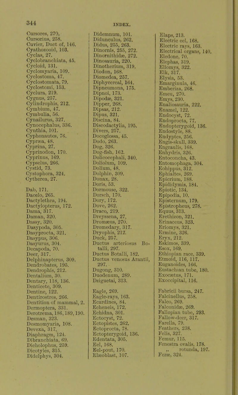 Cursores, 270. Cursorius, 258. Cuvicv, Dnct of, 14G. Cyathozooid, 103. Cyclas, 27. Cyclobranchiata, 45. Cycloid, 131. Cyclomyavia, 109. Cyclostoma, 47. Cyclostomata, 79. Cyclostomi, 153. Cyclura, 219. Cygnus, 257, Cylindrophis, 212. Cymbium, 47. Cymbulia, 56. Cynailurus, 327. Cynocephalus, 336. Cynthia, 101. Cyphonautes, 76. Cyprtea, 48. Cyprina, 27. Cyprinodon, 170. Cyprinus, 169. Cypselus, 266. Cystid, 73. Cystophora, 324. Cytherea, 27. Dab, 171. Dacelo, 265. Dactylethra, 194. Dactylopterus, 172. Dama, 317. Daman, 320. Dassy, 320. Dasypoda, 305. Dasyprocta, 321. Dasypus, 306. Dasynrus, 304. Decapoda, 70. Deer, 317. Delphinapterus, 309. Dendro bates, 195. Dendrophis, 212. Dentalium, 30. Dentary, 118, 136. Denticete, 309. Dentine, 122. Dentirostres, 266. Dentition of mammal, 2. Dermoptera, 331. Derotrema,186,189,190. Desman, 323. Desmomyaria, 108. Devexa, 317. Diaphragm, 124. Dibranchlata, 69. Dicholophiis, 259. Dicotyles, 315. Didelphys, 304. I Didemnum, 101. ! Didunculus, 262. I Didus, 255, 263. Dinornis, 255, 272. Dinornithidae, 272. Dinosauria, 220. Dinothcrium, 319. Diodon, 168. Diomedca, 257. Diphycercal, 164. Dipneumona, 175. Dipnoi, 173. Dipodse, 321. Dipper, 268. Dipsas, 212. Dipus, 321. Discina, 84. Discodactylia, 195. Divers, 257. Docoglossa, 45. Dodo, 263. Dog, 326. Dog-fish, 162. Dolicocephali, 340. Doliolum. 109. Dolium, 48. Dolphin, 309. Donas, 28. Doris, 53. Dormouse, 322. Dorsch, 170. Dorv, 172. Dove, 262. Draco, 219. Dreysseua, 27, Dromseus, 270. Dromedary, 317. Dryophis, 212. Duck, 257. Ductus arteriosus Bo- talli, 297. Ductus Botalli, 182. Ductus venosus Arantii, 297. Dugong, 310. Duodenum, 289. Dziguetai, 313. Eagle, 269. Eagle-rays, 163. Ecardines, 84. Echeneis, 172. Echidna, 301. Ectocyst, 72. Bctopistes, 262. Ectoprocta, 78. Ectopterj^goid, 136. Edentata, 305. Eel, 168. Eel-pout, 170. Elteoblast, 107. Elaps, 213. Electric eel, 168. Electric rays, 163. Electrical organs, 140, Eledone. 70. Eleplias, 319. Eliomys, 322. Elk, 317. Elysia, 53. Emarginula, 46. Emberiza, 268. Emeu, 270. Emys, 230. Enaliosauria, 222. Enamel, 122. Endocyst, 72. Endoprocta, 77. Endopterygoid, 136. Endostyle, 88. Endyptes. 256. Engis-skull, 339. Engraulis, 168. Enhydi-is. 326. Entoconcha, 43. Entomophaga, 304. Eohippus. 312. Ephialtes, 269. Epicrium, 188. Epididymis, 184. Epiotic, 134. Epipodia, 10. Episternum, 179. Epistropheus, 278, Equus, 313. Erethizon, 321, Erinaceus, 323. Eriomys, 321. Ermine, 326. Eryx, 212. Eskimos, 339. Esox, 169. Ethiopian race, 339. Etmoid, 116, 117. Euganoides, 166. Eustachian tube, 180. Exoc£etus, 171. Exoccipital, 116. Fabricii bursa, 247. Falcinellus, 258. Falco, 269. Falconidas, 269. Fallopian tube, 293. Fallow-deer, 317. Farella, 79. Feathers, 238. Fclis, 327. Femur, 115. Fenestra ovalis, 178. ,, rotunda, 197. Ferse, 324.