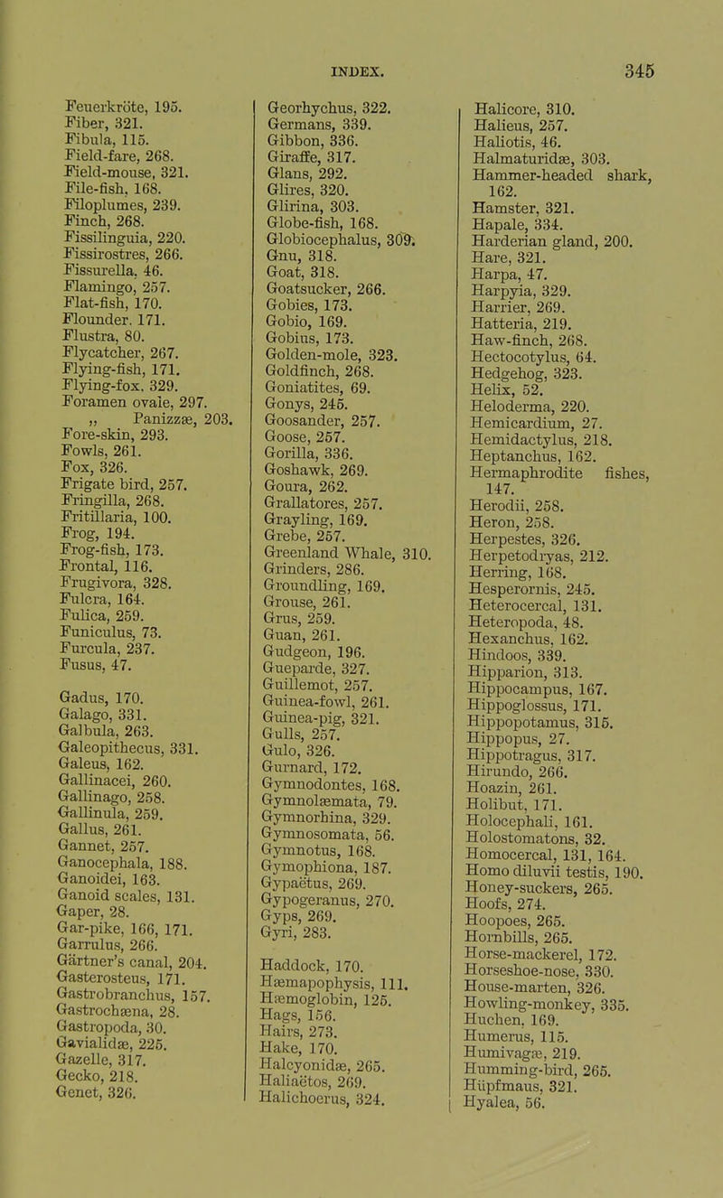 Feuerkrbte, 195. Fiber, 321. Fibula, 115. Field-fare, 268. Field-mouse, 321. File-fish. 168. Mloplumes, 239. Finch, 268. Fissilinguia, 220. Fissirostres, 266. Fissui-ella, 46. Flamingo, 257. Flat-fish, 170. Flounder. 171. Flusti-a, 80. Flycatcher, 267. Flying-fish, 171. Flying-fox. 329. Foramen ovale, 297. „ Panizzse, 203. Fore-skin, 293. Fowls, 261. Fox, 326. Frigate bird, 257. Fringilla, 268. Fritillaria, 100. Frog, 194. Frog-fish, 173. Frontal, 116, Frugivora, 328. Fulcra, 164. Fulica, 259. Funiculus, 73. Furcula, 237. Fusus, 47. Gadus, 170. Galago, 331. Galbula, 263. Galeopithecus, 331. Galeus, 162. Gallinacei, 260. Gallinago, 258. Gallinula, 259. Gallus, 261. Gannet, 257. Ganocephala, 188. Ganoidei, 163. Ganoid scales, 131. Gaper, 28. Gar-pike, 166, 171. Garrulus, 266. Gartner's canal, 204. Gasterosteus, 171. Gastrobranchus, 157. Gastrochaena, 28. Gastropoda, 30. Gavialidae, 225. Gazelle, 317. Gecko, 218. Genet, 326. Georhychus, 322. Germans, 339. Gibbon, 336. Giraffe, 317. Glans, 292. Glires, 320. Glirina, 303. Globe-fish, 168. Globiocephalus, 309; Gnu, 318. Goat, 818. Goatsucker, 266. Gobies, 173. Gobio, 169. Gobius, 173. Golden-mole, 323. Goldfinch, 268. Goniatites, 69. Gonys, 245. Goosander, 257. Goose, 257. Gorilla, 336. Goshawk, 269. Goura, 262. Grallatores, 257. Grayling, 169. Grebe, 257. Greenland Whale, 310. Grinders, 286. Groundling, 169. Grouse, 261. Grus, 259. Guan, 261. Gudgeon, 196. Guepai'de, 327. Guillemot, 257. Guinea-fowl, 261. Guinea-pig, 321. Gulls, 257. Gulo, 326. Gurnard, 172. Gymnodontes, 168. GymnolEemata, 79. Gymnorhina, 329. Gymnosomata, 56. Gymnotus, 168. Gymophiona, 187. Gypaetus, 269. Gypogeranus, 270. Gyps, 269. Gyi-i, 283. Haddock, 170. Hffimapophysis, 111. Hiemoglobin, 125. Hags, 166. Hairs, 273. Hake, 170. Halcyonidse, 265. Haliaetos, 269. Halichocrus, 324. Halicore, 310. Halieus, 257. Haliotis, 46. Halmaturidse, 303. Hammer-headed shark, 162. Hamster, 321. Hapale, 334. Harderian gland, 200. Hare, 321. Harpa, 47. Harpyia, 329. Harrier, 269. Hatteria, 219. Haw-finch, 268. Hectocotylus, 64. Hedgehog, 323. Helix, 52. Heloderma, 220. Hemicardium, 27. Hemidactylus, 218. Heptanchus, 162. Hermaphrodite fishes, 147. Herodii, 258. Heron, 258. Herpestes, 326. Herpetodryas, 212. Herring, 168. Hesperornis, 245. Heterocercal, 131. Heteropoda, 48. Hexanchus, 162. Hindoos, 339. Hipparion, 313. Hippocampus, 167. Hippoglossus, 171. Hippopotamus, 315. Hippopus, 27. Hippotragus, 317. Hirundo, 266. Hoazin, 261. Holibut, 171. Holocephali, 161. Holostomatons, 32. Homocercal, 131, 164. Homodiluvii testis, 190, Honey-suckers, 265. Hoofs, 274. Hoopoes, 265. Hornbills, 265. Horse-mackerel, 172. Horseshoe-nose, 330. House-marten, 326. Howling-monkey, 335. Huchen, 169. Humei-us, 115. Humivagje, 219. Humming-bird, 266. Hiipfmaus, 321. Hyalea, 56.
