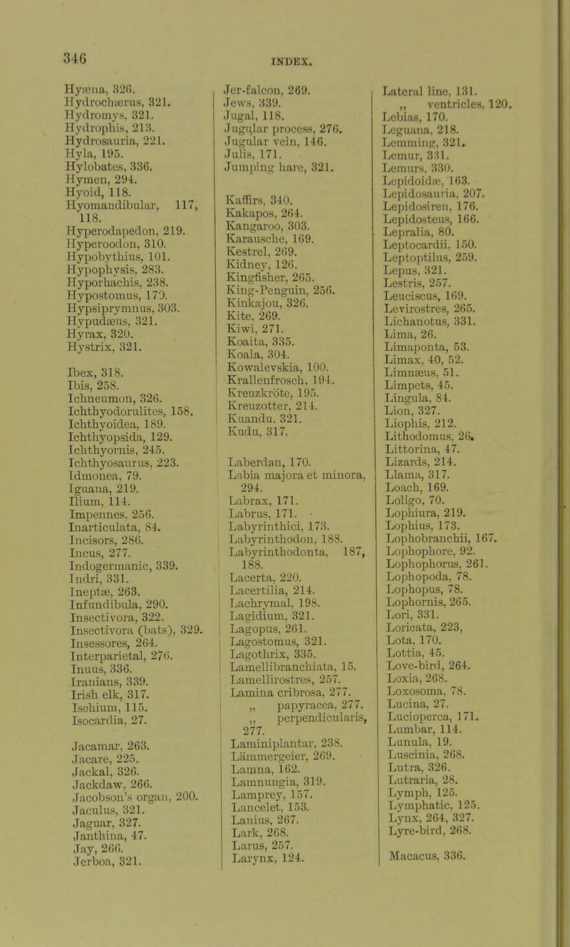 Hyiciia, 820. HydrochfCvus. 321. Hydromys. 321. Hydrophls, 213. Hydrosauria, 221. Hyla, 195. Hylobatcs. 336, Hymen, 294. Hyoid, 118. Hyomandibular, 117, 118. Hyperodapedon, 219. Hyperoodon, 310. Hypobythius, 101. Hypophysis, 283. Hyporhacliis, 238. Hypostomus, 170. Hypsiprymuus, 303. Hypudteus, 321. Hyrax. 320. Hystrix, 321. Ibex, 318. Ibis, 258. Ichneumon, 326. Ichthyodorulites, 158. Ichthyoidea, 189. Ichthyopsida, 129. Ichthyornis, 2-15. Ichthyosaurus, 223. Idmonea, 79. Iguana, 219. Ilium, 114. Impennes, 256. Inarticulata, 84. Incisors, 286. Incus, 277. Indogermanic, 339. Indri, 331. IneptfB, 263. Infundibula, 290. Insectivora, 322. lusectivora (bats), 829. Insessores, 264. Interparietal, 276. Inuus, 336. Iranians, 839. Irish elk, 317. Ischium, 115. Isocardia, 27. Jacamar, 263. Jacare, 225. Jackal, 326. Jackdaw, 266. Jacobson's organ, 200. Jaculus, 321. Jaguar, 327. Janthina, 47. Jay, 266. Jerboa, 321. Jcr-falcon, 269. Jews, 339. Jugal, 118. Jugular process, 276. Jugular vein, 146. Julis, 171. Jumping liarc, 321. Kaffirs, 340. Kakapos, 264. Kangaroo, 303. Karausclie, 169. Kestrel, 269. Kidney, 126. Kingfisher, 265. King-Penguin, 256. Kinkajou, 326. Kite, 269. Kiwi. 271. Koaita, 835. Koala, 304. Kowalevskia, 100. Krallenfrosch. 194. Kreuzkrote, 195. Kreuzotter, 214. Kuandu. 321. Kudu, 317. Laberdan, 170. Labia majoraet minora, 294. Labrax, 171. Labrus, 171. ■ Labyrintliici, 173. 1 Labyrinthodon, 188. 1 Labyrinthodonta, 187, 1 188. i Lacerta, 220. Lacertilia, 214. Lachrymal, 198. Lagidium, 321. Lagopus, 261. Lagostomus, 321. Lagothrix, 335. Lamellibranchiata, 15. 1 Lamellirostres, 257. Lamina cribrosa, 277. „ papyracea, 277. ,, perpendicularis, 277. Laminiplantar, 238. Lammergeier, 269. Lamna, 162. Lamnungia, 319. Lamprey, 157. Laucelet, 153. Lanius, 267. Lark, 268. Larus, 257. Larynx, 124. Lateral line, 131. „ ventricles, 120. Lebias, 170. Leguana, 218. Lemming, 321. Lemur, 3:U. Lemurs. 330. Lepidoidai, 163. Lepidosauria, 207. Lepidosireii, 176. Lepidosteus, 166. Lepralia, 80. Leptocardii. 150. Leptoptilus, 259. Lcpus, 821. Lestris, 257. Leuciscus, 169. Levirostres, 265. Lichanotus, 331. Lima, 26. Limaponta, 53. Limax, 40, 52. Limnseus, 51. Limpets, 45. Lingula, 84. Lion, 327. Liophis, 212. Lithodomus. 26. Littorina, 47. Lizards, 214. Llama, 317. Loach, 169. Loligo, 70. Lophiura, 219. Lopliius, 173. Lophobranchii, 167. Lophophore, 92. Lophophonis, 261. Lophopoda, 78. Lophopus, 78. Lophornis, 265. Lori, 331. Loricata, 223, Lota, 170. Lottia, 45. Love-bird, 264. Loxia, 268. Loxosoma. 78. Lucina, 27. Lucioperca, 171. Lumbar, 114. Lunula, 19. Luscinia, 268. Lutra, 326. Lutraria, 28. Lymph, 125. Lymphatic. 125. Lynx, 264, 327. Lyi-e-bird, 268. Macacus, 336.