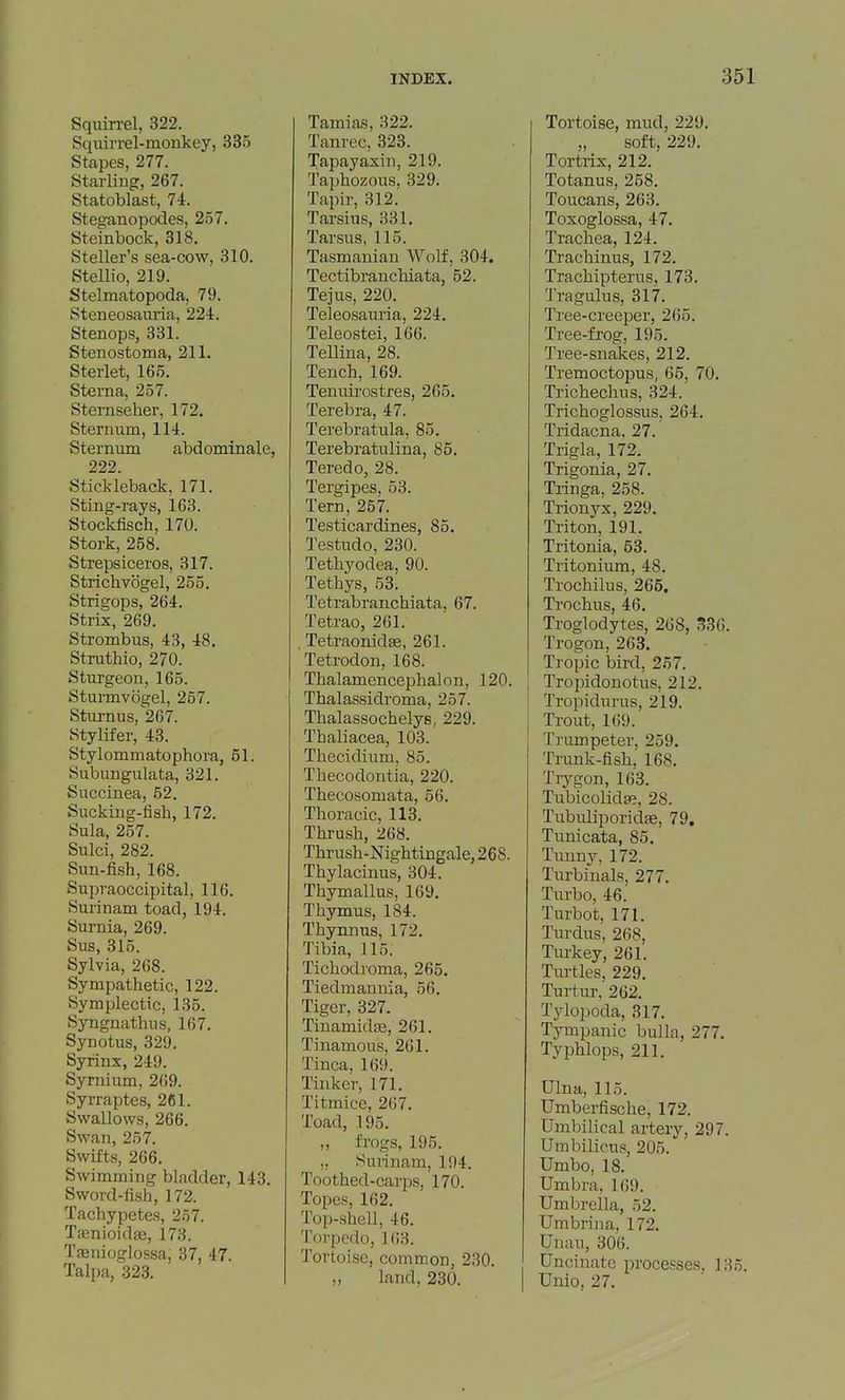 Sqiiin-el, 322. Sqiiirrel-monkey, 335 Stapes, 277. Starling, 267. Statoblast, 74. Steganopodes, 257. Steinbock, 318. Steller's sea-cow, 310. Stellio, 219. Stelmatopoda, 79. Steneosam-ia, 224. Stenops, 331. Stenostoma, 211. Sterlet, 165. Sterna, 257. Sternseher, 172. Sternum, 114. Sternum abdominale, 222. Stickleback, 171. Sting-rays, 163. Stockfisch, 170. Stork, 258. Strepsiceros, 317. StricbTOgel, 255. Strigops, 264. Strix, 269. Strombus, 43, 48. Struthio, 270. Sturgeon, 165. Sturmvogel, 257. Sturnus,''267. Stylifer, 43. Stylommatophora, 51. Subungulata, 321. Succinea, 52. Sucking-fish, 172. Sula, 257. Sulci, 282. Sun-fish, 168. Supraoccipital, 116. Surinam toad, 194. Surnia, 269. Sus, 315. Sylvia, 268. Sympathetic, 122. Symplectic, 135. Syngnathus, 167. Synotus, 329. Syrinx, 249. Syrnium, 269. Syrraptes, 261. Swallows, 266. Swan, 257. Swifts, 266. Swimming bladder, 143. Sword-fish, 172. Tachypetes, 257. TfenioidEe, 173. Taenioglossa, 37, 47. Talpa, 323. Tamias, 322. Tanrec, 323. Tapayaxin, 219. Taphozous, 329. Tapir, 312. Tarsius, 331. Tarsus, 115. Tasmanian Wolf, 304, Tectibranchiata, 52. Tejus, 220. Teleosauria, 224. Teleostei, 166. Tellina, 28. Tench, 169. Tenuii-ostres, 265. Terebra, 47. Terebratula, 85. Terebratulina, 85. Teredo, 28. Tergipes, 53. Tern, 257. Testicardines, 85. Testudo. 230. Tethyodea, 90. Tethys, 53. Tetrabranchiata, 67. Tetrao, 261. , Tetraonid^, 261. Tetrodon, 168. Thalamencephalon, 120. Thalassidroma, 257. Thalassochelys, 229. Thaliacea, 103. Thecidium, 85. Thecodontia, 220. Thecosomata, 56. Thoracic, 113. Thrush, 268. Thrush-Nightingale, 268. Thylacinus, 304. Thymallus, 169. Thymus, 184. Thynnus, 172. Tibia, 115. Tichodroma, 265. Tiedmannia, 56. Tiger, 327. Tinamidte, 261. Tinamous, 261. Tinea, 169. Tinker, 171. Titmice, 267. Toad, 195. „ frogs, 195. ,, Surinam, 194. Toothed-carps, 170. Topes, 162. Top-shell, 46. Torpedo, 163. Tortoise, common, 230. „ land, 230. Tortoise, mud, 229. „ soft, 229. Tortrix, 212. Totanus, 258. Toucans, 263. Toxoglossa, 47. Trachea, 124. Trachinus, 172. Trachipterus, 173. Tragulus, 317. Tree-creeper, 265. Tree-frog, 195. Tree-snakes, 212. Tremoctopus, 65, 70. Trichechus, 324. Trichoglossus. 264. Tridacna. 27. Trigla, 172. Trigonia, 27. Tringa, 258. Trionyx, 229. Triton, 191. Tritonia, 53. Tritonium, 48. Trochilus, 265. Trochus, 46. Troglodytes, 268, 33G. Trogon, 263. Tropic bird, 257. I Tropidonotus, 212. I Tropidurus, 219. Trout, 169. Trumpeter, 259. Trunk-fish, 168. Trygon, 163. Tubicolida;, 28. Tubuliporidse, 79. Tunicata, 85, Tunny, 172. Turbinals, 277. Turbo, 46. Turbot, 171. Turdus, 268, Turkey, 261. Turtles, 229. Turtur, 262. Tjdopoda, 317. Tympanic bulla, 277. Typhlops, 211. Ulna, 115. Umberfische, 172. Umbilical artery, 297. Umbilicus, 205. Umbo, 18. Umbra, 169. Umbrella, 52. Umbrina, 172. Unau, 306. Uncinate processes, 135. Unio, 27.