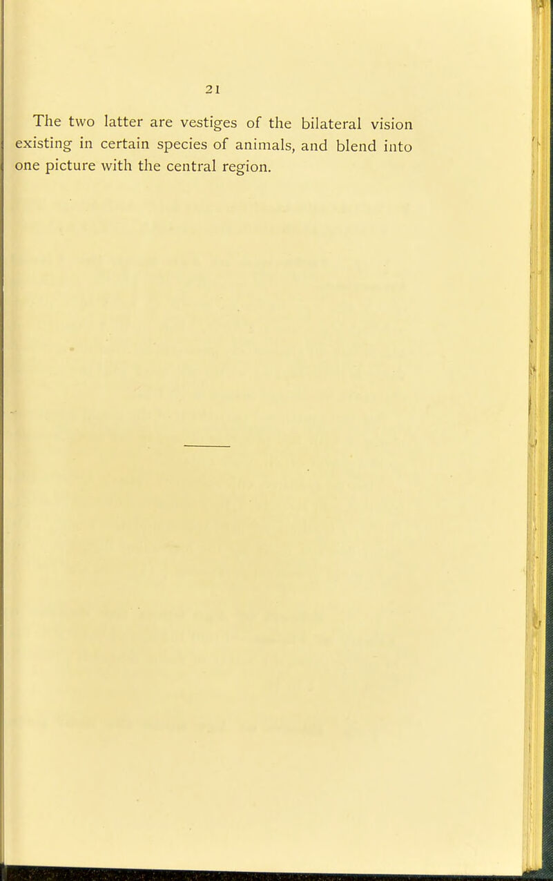 The two latter are vestiges of the bilateral vision existing in certain species of animals, and blend into one picture with the central region.