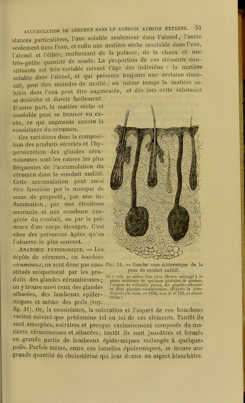 Stances particulières, l'une soluble seulement dans l'alcool, l'autre seulement dans l'eau, et enfin une matière sèche insoluble dans l'eau, l'alcool et l'éther, renfermant de la potasse, de la chaux et une très-petite quantité de soude. La proportion de ces éléments con- stituants est très-variable suivant l'ùge des individus : la matière soluble dans l'alcool, et qui présente toujours une certaine visco- sité, peut être moindre de moitié; en môme temps la matière so- lubfe dans l'eau peut être augmentée, et dès lors celte substance se dessèche et durcit facilement. D'autre part, la matière sèche et insoluble peut se trouver en ex- cès, ce qui augmente encore la consistance du cérumen. Ces variations dans la composi- tion des produits sécrétés et l'hy- persécrétion des glandes céru- mineuses sont les causes les plus fréquentes de l'accumulation du cérumen dans le conduit auditif. Cette accumulation peut aussi être favorisée par le manque de soins de propreté, par une in- llammation, par une étroitesse anormale et une courbure exa- gérée du conduit, ou par la pré- sence d'un corps étranger. C'est chez des personnes âgées qu'on l'observe le plus souvent. AnATOMIE PATHOLOGIQUE. — Les dépôts de cérumen, ou bouchons cérumineux, ne sont donc pas con- stitués uniquement par les pro- duits des glandes cérumineuses ; on y trouve aussi ceux des glandes sébacées, des lambeaux épider- miques et môme des poils (voy. fig. 31). Or, la consistance, la coloration et l'aspect de ces bouchons varient suivant que prédomine tel ou tel de ces éléments. Tantôt ils sont amorphes, noirâtres et presque exclusivement composés de ma- tières cérumineuses et sébacées; tantôt ils sont jaunâtres et formés en grande partie de lambeaux épiderraiques mélangés à quelques poils. Parfois môme, entre ces lamelles épidermiqucs, se trouve une grande quantité de cholestérine qui leur donne un aspect blanchâtre. Fig. 31. — Couche sous-épidermique de la peau du conduit audilif. On y voit, au milieu d'un tissu fibreux mclaugc à la partie infpricure de quelques globules de graisse, l'origine de follicules pileux, des glandes sébacées et deux glandes cérumineuses. (D'après la pièce dopose'e par nous, en 1859, sous le n' 122, au musée Orlila.)