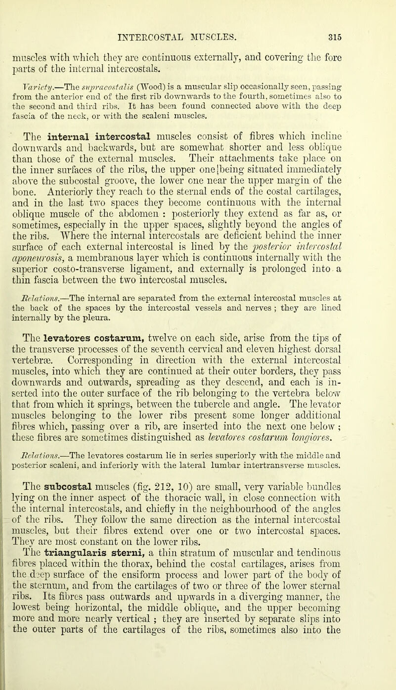 muscles with which they are continuous externally, and covering the fore parts of the internal intercostals. Variety.—The siqwacostalis (Wood) is a muscular slip occasionally seen, passing from the anterior end of the first rib downwards to the fourth, sometimes also to the second and third ribs. It has been found connected above with the deep fascia of the neck, or with the scaleni muscles. The internal intercostal muscles consist of fibres which incline downwards and backwards, but are somewhat shorter and less oblique than those of the external muscles. Their attachments take place on the inner surfaces of the ribs, the upper one [being situated immediately above the subcostal groove, the lower one near the upper margin of the bone. Anteriorly they reach to the sternal ends of the costal cartilages, and in the last two spaces they become continuous with the internal oblique muscle of the abdomen : posteriorly they extend as far as, or sometimes, especially in the upper spaces, slightly beyond the angles of the ribs. Where the internal intercostals are deficient behind the inner surface of each external intercostal is lined by the posterior intercostal aponeurosis, a membranous layer which is continuous internally with the superior costo-transverse ligament, and externally is prolonged into a thin fascia between the two intercostal muscles. Relations.—The internal are separated from the external intercostal muscles at the back of the spaces by the intercostal vessels and nerves ; they are lined internally by the pleura. The levatores costarum, twelve on each side, arise from the tips of the transverse processes of the seventh cervical and eleven highest dorsal vertebrae. Corresponding in direction with the external intercostal muscles, into which they are continued at their outer borders, they pass downwards and outwards, spreading as they descend, and each is in- serted into the outer surface of the rib belonging to the vertebra below that from wdiich it springs, between the tubercle and angle. The levator muscles belonging to the lower ribs present some longer additional fibres which, passing over a rib, are inserted into the next one below; these fibres are sometimes distinguished as levatores costarum longiores. Relations—The levatores costarum lie in series superiorly with the middle and posterior scaleni, and interiorly with the lateral lumbar intertransverse muscles. The subcostal muscles (fig. 212, 10) are small, very variable bundles lying on the inner aspect of the thoracic wall, in close connection with the internal intercostals, and chiefly in the neighbourhood of the angles of the ribs. They follow the same direction as the internal intercostal muscles, but their fibres extend over one or two intercostal spaces. They are most constant on the lower ribs. The triangularis sterni, a thin stratum of muscular and tendinous fibres placed within the thorax, behind the costal cartilages, arises from the deep surface of the ensiform process and lower part of the body of the sternum, and from the cartilages of two or three of the lower sternal ribs. Its fibres pass outwards and upwards in a diverging manner, the lowest being horizontal, the middle oblique, and the upper becoming more and more nearly vertical; they are inserted by separate slips into the outer parts of the cartilages of the ribs, sometimes also into the