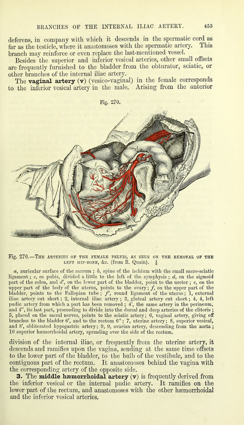 deferens, in company with which it descends in the spermatic cord as far as the testicle, where it anastomoses with the spermatic artery. This branch may reinforce or even replace the last-mentioned vessel. Besides the superior and inferior vesical arteries, other small offsets are frequently furnished to the bladder from the obturator, sciatic, or other branches of the internal iliac artery. The vaginal artery (v) (vesico-vaginal) in the female corresponds to the inferior vesical artery in the male. Arising from the anterior Fig. 270. Fig. 270.—The arteries op the female pelvis, as seen on the removal of the left hip-bone, '&c. (from R. Quain). J a, auricular surface of the sacrum ; 6, spine of tlie ischium with the small sacro-sciatic ligament; c, os pubis, divided a little to the left of the symphysis ; d, on the sigmoid part of the colon, and d', on the lower part of the bladder, point to the ureter ; e, on the upper part of the body of the uterus, points to the ovary; /, on the upper part of the bladder, points to the Fallopian tube; /', round ligament of the uterus; 1, external iliac artery cut short; 2, internal iliac artery ; 3, gluteal artery cut short ; 4, 4, left pudic artery from which a part has been removed ; 4', the same artery in the perineum, and 4, its last part, proceeding to divide into the dorsal and deep arteries of the clitoris ; 5, placed on the sacral nerves, points to the sciatic artery; 6, vaginal artery, giving off branches to the bladder 6', and to the rectum 6; 7, uterine artery; 8, superior vesical, and 8', obliterated hypogastric artery; 9, 9, ovarian artery, descending from tlie aorta; 10 superior hemorrhoidal artery, spreading over the side of the rectum. division of the internal iliac, or frequently from the uterine artery, it descends and ramifies upon the vagina, sending at the same time offsets to the lower part of the bladder, to the bulb of the vestibule, and to the contiguous part of the rectum. It anastomoses behind the vagina with the corresponding artery of the opposite side. 3. The middle hemorrhoidal artery (v) is frequently derived from the inferior vesical or the internal pudic artery. It ramifies on the lower part of the rectum, and anastomoses with the other hemorrhoidal and the inferior vesical arteries.