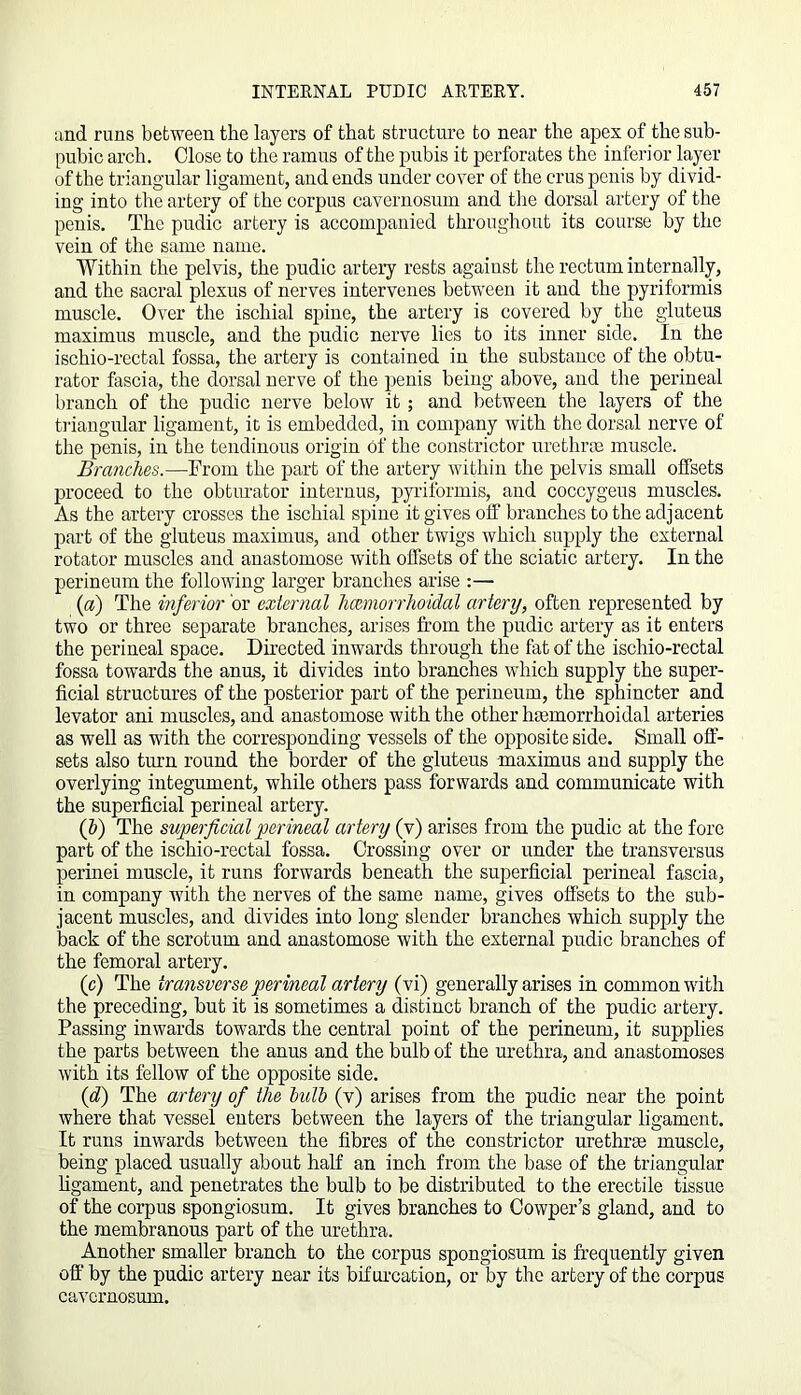 und runs between the layers of that structure to near the apex of the sub- pubic arch. Close to the ramus of the pubis it perforates the inferior layer of the triangular ligament, and ends under cover of the crus penis by divid- ing into the artery of the corpus cavernosum and the dorsal artery of the penis. The pudic artery is accompanied throughout its course by the vein of the same name. Within the pelvis, the pudic artery rests against the rectum internally, and the sacral plexus of nerves intervenes between it and the pyriformis muscle. Over the ischial spine, the artery is covered by the gluteus maximus muscle, and the pudic nerve lies to its inner side. In the ischio-rectal fossa, the artery is contained in the substance of the obtu- rator fascia, the dorsal nerve of the penis being above, and the perineal branch of the pudic nerve below it ; and between the layers of the triangular ligament, it is embedded, in company with the dorsal nerve of the penis, in the tendinous origin Of the constrictor urethrae muscle. Branches.—From the part of the artery within the pelvis small offsets proceed to the obturator internus, pyriformis, and coccygeus muscles. As the artery crosses the ischial spine it gives off branches to the adjacent part of the gluteus maximus, and other twigs which supply the external rotator muscles and anastomose with offsets of the sciatic artery. In the perineum the following larger branches arise :— (a) The inferior or external hcemorrhoidal artery, often represented by two or three separate branches, arises from the pudic artery as it enters the perineal space. Directed inwards through the fat of the ischio-rectal fossa towards the anus, it divides into branches which supply the super- ficial structures of the posterior part of the perineum, the sphincter and levator ani muscles, and anastomose with the other hemorrhoidal arteries as well as with the corresponding vessels of the opposite side. Small off- sets also turn round the border of the gluteus maximus and supply the overlying integument, while others pass forwards and communicate with the superficial perineal artery. (1) The superficial perineal artery (v) arises from the pudic at the fore part of the ischio-rectal fossa. Crossing over or under the transversus perinei muscle, it runs forwards beneath the superficial perineal fascia, in company with the nerves of the same name, gives offsets to the sub- jacent muscles, and divides into long slender branches which supply the back of the scrotum and anastomose with the external pudic branches of the femoral artery. (c) The transverse perineal artery (vi) generally arises in common with the preceding, but it is sometimes a distinct branch of the pudic artery. Passing inwards towards the central point of the perineum, it supplies the parts between the anus and the bulb of the urethra, and anastomoses with its fellow of the opposite side. (d) The artery of the lullb (v) arises from the pudic near the point where that vessel enters between the layers of the triangular ligament. It runs inwards between the fibres of the constrictor urethrae muscle, being placed usually about half an inch from the base of the triangular ligament, and penetrates the bulb to be distributed to the erectile tissue of the corpus spongiosum. It gives branches to Cowper’s gland, and to the membranous part of the urethra. Another smaller branch to the corpus spongiosum is frequently given off by the pudic artery near its bifurcation, or by the artery of the corpus cavernosum.