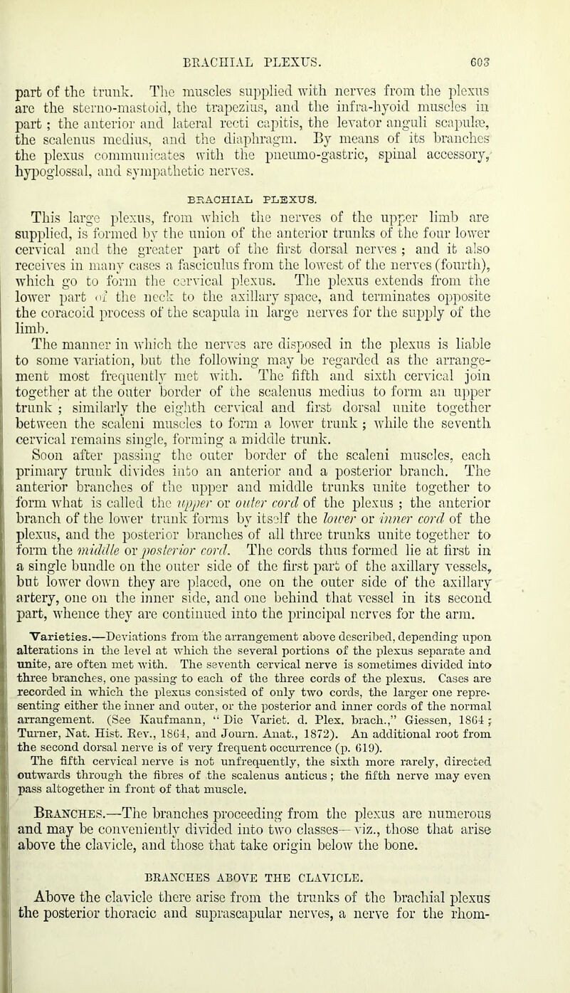 part of the trunk. The muscles supplied with nerves from the plexus are the sterno-mastoid, the trapezius, and the infra-hyoid muscles in part; the anterior and lateral recti capitis, the levator auguli scapulae, the scalenus medius, and the diaphragm. By means of its branches the plexus communicates with the pneumo-gastric, spinal accessory, hypoglossal, and sympathetic nerves. BRACHIAL PLEXUS. This large plexus, from which the nerves of the upper limb are supplied, is formed by the union of the anterior trunks of the four lower cervical and the greater part of the first dorsal nerves ; aud it also receives in many cases a fasciculus from the lowest of the nerves (fourth), which go to form the cervical plexus. The plexus extends from the lower part of the neck to the axillary space, and terminates opposite the coracoid process of the scapula in large nerves for the supply of the limb. The manner in which the nerves are disposed in the plexus is liable to some variation, but the following may be regarded as the arrange- ment most frequently met with. The fifth and sixth cervical join together at the outer border of the scalenus medius to form an upper I trunk ; similarly the eighth cervical and first dorsal unite together between the scaleni muscles to form a lower trunk; while the seventh cervical remains single, forming a middle trunk. Soon after passing the outer border of the scaleni muscles, each primary trunk divides into an anterior and a posterior branch. The anterior branches of the upper and middle trunks unite together to form what is called the tipper or outer cord of the plexus ; the anterior f branch of the lower trunk forms by itself the lotrer or inner cord of the plexus, and the posterior branches of all three trunks unite together to form the middle or posterior cord. The cords thus formed lie at first in a single bundle on the outer side of the first part of the axillary vessels, but lower down they are placed, one on the outer side of the axillary artery, one on the inner side, and one behind that vessel in its second part, whence they are continued into the principal nerves for the arm. Varieties.—Deviations from the arrangement above described, depending upon alterations in the level at which the several portions of the plexus separate and unite, are often met with. The seventh cervical nerve is sometimes divided into three branches, one passing to each of the three cords of the plexus. Cases are recorded in which the plexus consisted of only two cords, the larger one repre- senting either the inner and outer, or the posterior and inner cords of the normal arrangement. (See Kaufmann,  Die Variet. d. Plex. brach.,” Giessen, 1SG4 ; Turner, Nat. Hist. Rev., 1864, and Journ. Anat., 1872). An additional root from j the second dorsal nerve is of very frequent occurrence (p. 619). The fifth cervical nerve is not unfrequently, the sixth more rarely, directed outwards through the fibres of the scalenus anticus ; the fifth nerve may even pass altogether in front of that muscle. Branches.—The branches proceeding from the plexus are numerous and may be conveniently divided into two classes— viz., those that arise above the clavicle, and those that take origin below the bone. BRANCHES ABOVE THE CLAVICLE. Above the clavicle there arise from the trunks of the brachial plexus the posterior thoracic and suprascapular nerves, a nerve for the rhorn- I