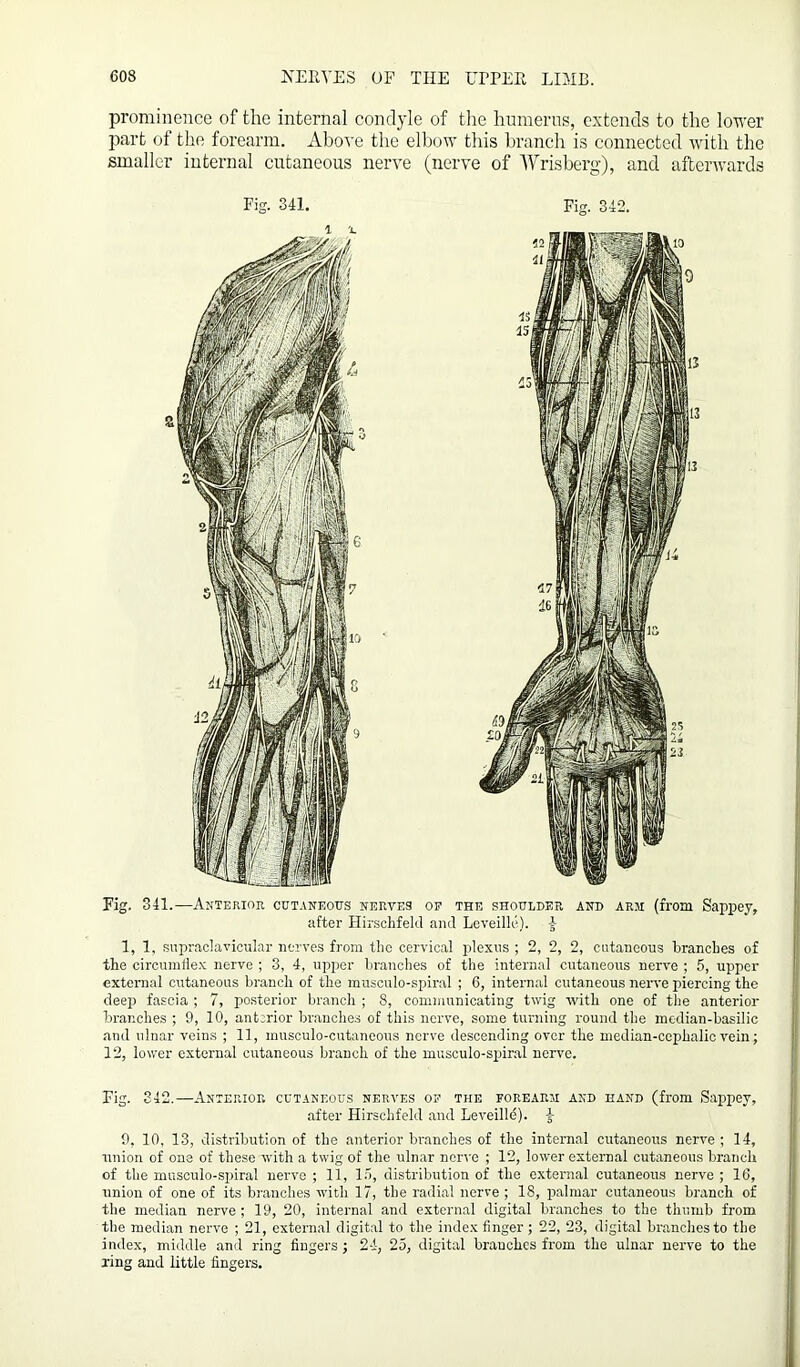 prominence of the internal condyle of the humerus, extends to the lower part of the forearm. Above the elbow this branch is connected with the smaller internal cutaneous nerve (nerve of Wrisberg), and afterwards Fig. 341. Fig. 342. Fig. 341.—Anterior cutaneous nerves op the shoulder and arm (from Sappey, after Hirschfeld and Lcveille). 1, 1, supraclavicular nerves from the cervical plexus ; 2, 2, 2, cutaneous branches of the circumflex nerve ; 3, 4, upper branches of the internal cutaneous nerve ; 5, upper external cutaneous branch of the musculo-spiral ; 6, internal cutaneous nerve piercing the deep fascia ; 7, posterior branch ; 8, communicating twig with one of the anterior branches ; 9, 10, anterior branches of this nerve, some turning round the median-basilic and ulnar veins ; 11, inusculo-cutaneous nerve descending over the median-cephalic vein; 12, lower external cutaneous branch of the musculo-spiral nerve. Fig. 342.—Anterior cutaneous nerves op the forearm and hand (from Sappey, after Hirschfeld and Leveilld). t 9, 10, 13, distribution of the anterior branches of the internal cutaneous nerve; 14, union of one of these with a twig of the ulnar nerve ; 12, lower external cutaneous branch of the musculo-spiral nerve ; 11, 15, distribution of the external cutaneous nerve ; 16, union of one of its branches with 17, the radial nerve ; 18, palmar cutaneous branch of the median nerve; 19, 20, internal and external digital branches to the thumb from the median nerve ; 21, external digital to the index finger ; 22, 23, digital branches to the index, middle and ring fingers; 24, 25, digital branches from the ulnar nerve to the ring and little fingers.