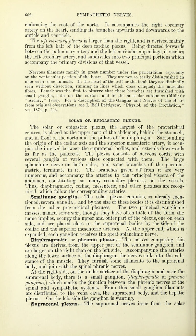 embracing the root of the aorta. It accompanies the right coronary artery on the heart, sending its branches upwards and downwards to the airricle and ventricle. The left coronary plexus is larger than the right, and is derived mainly from the left half of the deep cardiac plexus. Being directed forwards between the pulmonary artery and the left auricular appendage, it reaches the left coronary artery, and subdivides into two principal portions which accompany the primary divisions of that vessel. Nervous filaments ramify in great number under the pericardium, especially on the ventricular portion of the heart. They are not so easily distinguished in man as in some animals. In the heart of the calf or the lamb they are distinctly seen without dissection, running in lines which cross obliquely the muscular fibres. Remak was the first to observe that these branches are furnished with small ganglia, both on the surface and in the muscular substance (Muller’s •‘Archiv,” 1841). For a description of the Ganglia and Nerves of the Heart from original observations, see I. Bell Pettigrew, “ Physiol, of the Circulation, ” &c., 1874, p. 293. SOLAR OR EPIGASTRIC PLEXUS. The solar or epigastric plexus, the largest of the prevertebral centres, is placed at the upper part of the abdomen, behind the stomach, and in front of the aorta and the pillars of the diaphragm. Surrounding the origin of the coeliac axis and the superior mesenteric artery, it occu- pies the interval between the suprarenal bodies, and extends downwards as far as the pancreas. The plexus consists of nervous cords, with several ganglia of various sizes connected with them. The large splanchnic nerve on both sides, and some branches of the pneurno- gastric, terminate in it. The branches given off from it are very numerous, and accompany the arteries to the principal viscera of the abdomen, constituting so many secondary plexuses on the vessels. Thus, diaphragmatic, coeliac, mesenteric, and other plexuses are recog- nised, which follow the corresponding arteries. Semilunar ganglia.—The solar plexus contains, as already men- tioned, several ganglia ; and by the size of these bodies it is distinguished from the other prevertebral plexuses. The two principal ganglionic masses, named semilunar, though they have often little of the form the name implies, occupy the upper and outer part of the plexus, one on each side, and are placed close to the suprarenal bodies by the side of the cceliac and the superior mesenteric arteries. At the upper end, which is expanded, each ganglion receives the great splanchnic nerve. Diaphragmatic or phrenic plexus.—The nerves composing this plexus are derived from the upper part of the semilunar ganglion, and are larger on the right than on the left side. Accompanying the arteries along the lower surface of the diaphragm, the nerves sink into the sub- stance of the muscle. They furnish some filaments to the suprarenal body, and join with the spinal phrenic nerves. At the right side, on the under surface of the diaphragm, and near the suprarenal body, there is a small ganglion, (diaphragmatic or phrenic, ganglion,) which marks the junction between the phrenic nerves of the spinal and sympathetic systems. From this small ganglion filaments are distributed to the vena cava, the suprarenal body, and the hepatic plexus. On the left side the ganglion is wanting. Suprarenal plexus.—The suprarenal nerves issue from the solar