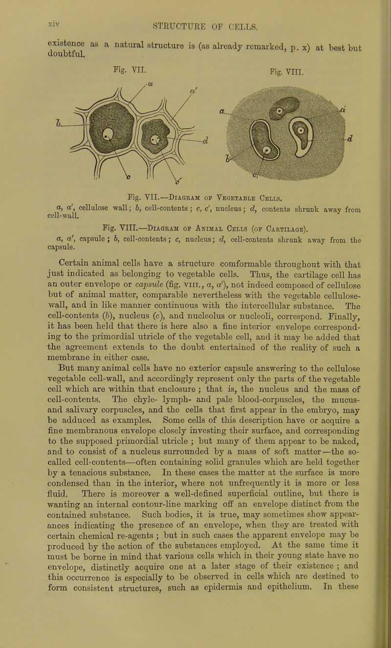STRUCTURE OF CELLS. existence as a natural structure is (as already remarked, p. x) at best but doubtful. Fig. YII. Fig. vm. t Fig. VII.—Diagram op Vegetable Cells. a, a', cellulose wall; 6, cell-contents; c, c', nucleus; d, contents shrunk away from cell-wall. Fig, Yin.—Diagram op Animal Cells (op Cartilage). a, a', capsule; 6, cell-contents; c, nucleus; d, cell-contents shrunk away from the capsule. Certain animal cells have a structure comformable tlirougbout with that just indicated as belonging to vegetable cells. Thus, the cartilage cell has an outer envelope or capsule (fig. viii., a, a'), not indeed composed of cellulose but of animal matter, comparable nevertheless with the vegetable cellulose- wall, and in like manner continuous with the intercellular substance. The cell-contents (6), nucleus (c), and nucleolus or nucleoli, correspond. Finally, it has been held that there is here also a fine interior envelope correspond- ing to the primordial utricle of the vegetable cell, and it may be added that the agreement extends to the doubt entertained of the reality of such a membrane in either case. But many animal cells have no exterior capsule answering to the cellulose vegetable cell-wall, and accordingly represent only the parts of the vegetable cell which are within that enclosure ; that is, the nucleus and the mass of cell-contents. The chyle- lymph- and pale blood-corpuscles, the mucus- and salivary corpuscles, and the cells that first appear in the embryo, may be adduced as examples. Some cells of this description have or acquire a fine membranous envelope closely investing their surface, and corresponding to the supposed primordial utricle ; but many of them appear to be naked, and to consist of a nucleus surroimded by a mass of soft matter —the so- called cell-contents—often containing solid granules which are held together by a tenacious substance. In these cases the matter at the surface is more condensed than in the interior, where not unfrequently it is more or less fluid. There is moreover a well-defined superficial outline, but there is wanting an internal contour-line marlcing oflF an envelope distinct from the contained substance. Such bodies, it is true, may sometimes show appear- ances indicating the presence of an envelope, when they are treated with certain chemical re-agents ; but in such cases the apparent envelope may be produced by the action of the substances employed. At the same time it must be borne in mind that various cells which in their young state have no envelope, distinctly acquire one at a later stage of their existence ; and this occurrence is especially to be observed in cells which are destined to form consistent structures, such as epidermis and epithelium. In these