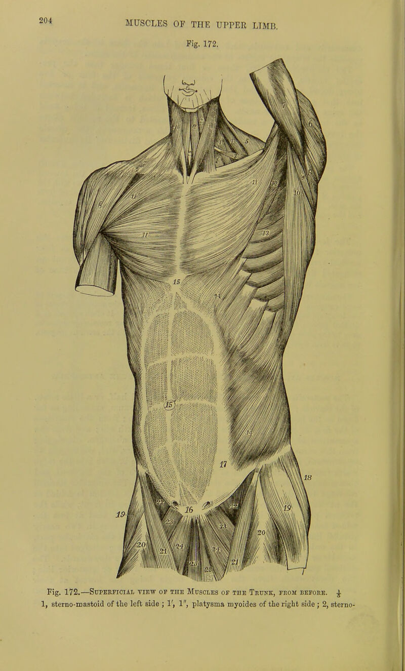 20i Fig. 172.