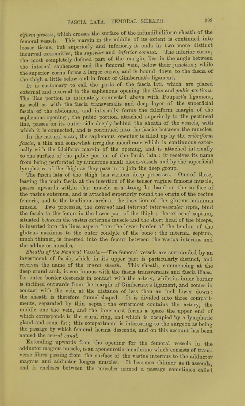 FASCIA LATA. FEMORAL SHEATH. ci/orm process, which crosses the surface of the infmidibuliform sheath of the femoral vessels. This margin in the middle of its extent is continued into looser tissue, but superiorly and inferiorly it ends in two more distinct incurved extremities, the superior and inferior cornua. The inferior comu, the most completely defined part of the margin, lies in the angle between the internal saphenous and the femoral vein, below their junction; while the superior comu forms a larger curve, and is bound down to the fascia of the thigh a little below and in front of Gimbemat's ligament. It is customary to call the parts of the fascia lata which are placed external and internal to the saphenous opening the iliac and pubic portions. The iliac portion is intimately connected above with Poupart's ligament, as well as with the fascia transversalis and deep layer of the superficial fascia of the abdomen, and internally forms the falciform margin of the saphenous opening ; the pubic portion, attached superiorly to the pectineal line, passes on its outer side deeply behind the sheath of the vessels, with which it is connected, and is continued into the fasciae between the muscles. In the natural state, the saphenous opening is filled up by the cribriform fascia, a thin and somewhat irregular membrane which is continuous exter- nally with the falciform margin of the opening, and is attached internally to the surface of the pubic portion of the fascia lata : it' receives its name from being perforated by numerous small blood-vessels and by the superficial lymphatics of the thigh as they pass in to join the deep group. The fascia lata of the thigh has various deep processes. One of these, leaving the main fascia at the insertion of the tensor vaginse femoris muscle, passes upwards within that muscle as a strong flat band on the surface of the vastus extemus, and is attached superiorly round the origin of the rectus femoris, and to the tendinous arch at the insertion of the gluteus minimus muscle. Two processes, the external and internal intermuscular septa, bind the fascia to the femiu: in the lower part of the thigh : the external septum, situated between the vastus extemus muscle and the short head of the biceps, is inserted into the linea aspera from the lower border of the tendon of the gluteus maximus to the outer condyle of the bone : the internal septum, much thinner, is inserted into the femur between the vastus intemus and the adductor muscles. Sheaths of the Femoral Vessels.—The femoral vessels are surrounded by an investment of fascia, which in its upper part is particularly distinct, and receives the name of the crural sheath. This sheath, commencing at the deep crural arch, is continuous with the fascia transversalis and fascia iliaca. Its outer border descends in contact with the artery, while its inner border is inclined outwards from the margin of Gimbemat's ligament, and comes in contact with the vein at the distance of less than an inch lower down : the sheath is therefore funnel-shaped. It is divided into three compart- ments, separated by thin septa : the outermost contains the artery, the middle one the vein, and the innermost forms a space the, upper end of which corresponds to the crural ring, and which is occupied by a lymphatic gland and some fat; this compartment is interesting to the surgeon as being the passage by which femoral hernia descends, and on this account has been named the crural canal. Extending upwards from the opening for the femoral vessels in the adductor magnus muscle, is an aponeurotic membrane which consists of trans- verso fibres passing from the surface of the vastus intemus to the adductor magnus and adductor longus muscles. It becomes thinner as it ascends and it encloses between the muscles named a passage sometimes called
