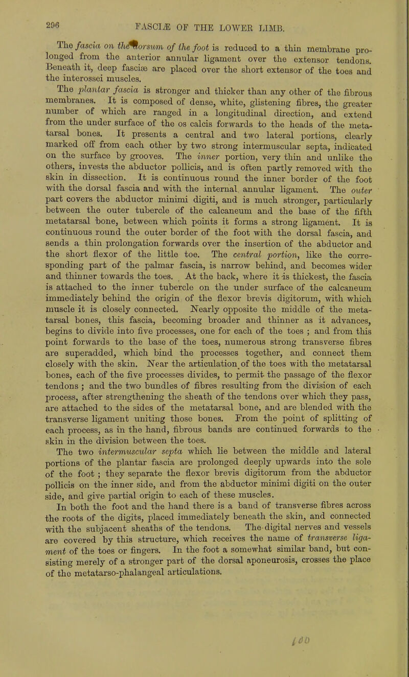 206 The fascia on the^orsum of the foot is reduced to a thin membrane pro- longed from the anterior annular ligament over the extensor tendons. Beueatli it, deep fasciae are placed over the short extensor of the toes and the interossei muscles. The 2^lantar fascia is stronger and thicker than any other of the fibrous membranes. It is composed of dense, white, glistening fibres, the greater number of which are ranged in a longitudinal direction, and extend from the under surface of the os calcis forwards to the heads of the meta- tarsal bones. It presents a central and two lateral portions, clearly marked ofi' from each other by two strong intermuscular septa, indicated on the surface by grooves. The inner portion, very thin and unlike the others, invests the abductor poUicis, and is often partly removed with the skin in dissection. It is continuous round the inner border of the foot with the dorsal fascia and with the internal, annular ligament. The outer part covers the abductor minimi digiti, and is much stronger, particularly between the outer tubercle of the calcaneum and the base of the fifth metatarsal 'bone, between which points it forms a strong ligament. It is continuous round the outer border of the foot with the dorsal fascia, and sends a thin prolongation forwards over the insertion of the abductor and the short flexor of the little toe. The central portion, like the corre- sponding part of the palmar fascia, is narrow behind, and becomes wider and thinner towards the toes. At the back, where it -is thickest, the fascia is attached to the inner tubercle on the under surface of the calcaneum immediately behind the origin of the flexor brevis digitorum, with which muscle it is closely connected. Nearly opposite the middle of the meta- tarsal bones, this fascia, becoming broader and thinner as it advances, begins to divide into five processes, one for each of the toes ; and from this point forwards to the base of the toes, numerous strong transverse fibres are superadded, wliich bind the processes together, and connect them closely with the skin. Near the articulation of the toes with the metatarsal bones, each of the five processes divides, to permit the passage of the flexor tendons ; and the two bundles of fibres resulting from the division of each process, after strengthening the sheath of the tendons over which they pass, are attached to the sides of the metatarsal bone, and are blended with the transverse ligament uniting those bones. From the point of splitting of each process, as in the hand, fibrous bands are continued forwards to the skin in the division between the toes. The two intermuscula/r septa which lie between the middle and lateral portions of the plantar fascia are prolonged deeply upwards into the sole of the foot ; they separate the flexor brevis digitorum from the abductor pollicis on the inner side, and from the abductor minimi digiti on the outer side, and give partial origin to each of these muscles. In both the foot and the hand there is a band of transverse fibres across the roots of the digits, placed immediately beneath the skin, and connected with the subjacent sheaths of the tendons. The digital nerves and vessels are covered by this structure, which receives the name of transverse liga- ment of the toes or fingers. In the foot a somewhat similar band, but con- sisting merely of a stronger part of the dorsal aponeurosis, crosses the place of the metatarso-phalangeal articulations.