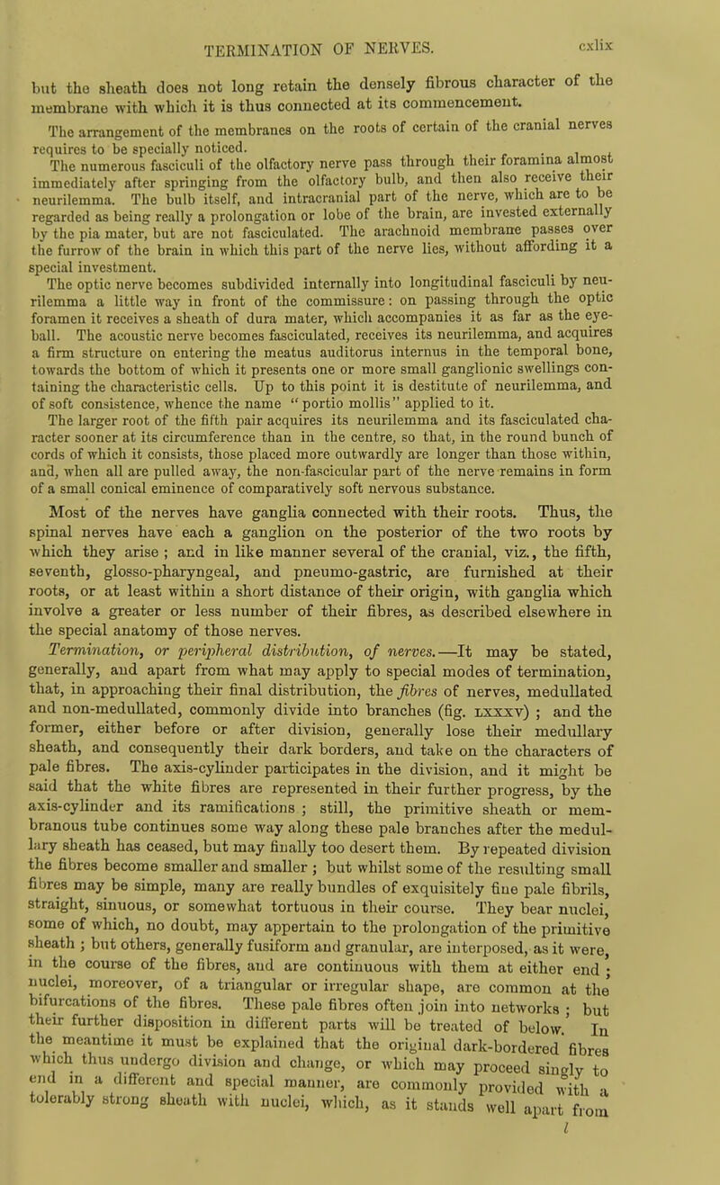 but the sheath does not long retain the densely fibrous character of the membrane with whicli it is thus connected at its commencement. The arrangement of the membranes on the roots of certain of the cranial nerves requires to be specially noticed. , , . , • i * The numerous fasciculi of the olfactory nerve pass through their foramma almost immediately after springing from the olfactory bulb, and then also receive their neurilemma. The bulb itself, and intracranial part of the nerve, which are to be regarded as being really a prolongation or lobe of the brain, are invested externally by the pia mater, but are not fasciculated. The arachnoid membrane passes over the furrow of the brain in which this part of the nerve lies, without affording it a special investment. The optic nerve becomes subdivided internally into longitudinal fasciculi by neu- rilemma a little way in front of the commissure: on passing through the optic foramen it receives a sheath of dura mater, which accompanies it as far as the eye- ball. The acoustic nerve becomes fasciculated, receives its neurilemma, and acquires a firm structure on entering the meatus auditorus internus in the temporal bone, towards the bottom of which it presents one or more small ganglionic swellings con- taining the characteristic cells. Up to this point it is destitute of neurilemma, and of soft consistence, whence the name portio mollis applied to it. The larger root of the fifth pair acquires its neurilemma and its fasciculated cha- racter sooner at its circumference than in the centre, so that, in the round bunch of cords of which it consists, those placed more outwardly are longer than those within, and, when all are pulled away, the non-fascicular part of the nerve remains in form of a small conical eminence of comparatively soft nervous substance. Most of the nerves have ganglia connected with their roots. Thus, the spinal nerves have each a ganglion on the posterior of the two roots by which they arise ; and in like manner several of the cranial, viz., the fifth, seventh, glosso-pharyngeal, and pneumo-gastric, are furnished at their roots, or at least within a short distance of their origin, with ganglia which involve a greater or less number of their fibres, as described elsewhere in the special anatomy of those nerves. Termination, or peripheral distribution, of nerves.—It may be stated, generally, and apart from what may apply to special modes of termination, that, in approaching their final distribution, the fibres of nerves, meduUated and non-medullated, commonly divide into branches (fig. lxxxv) ; and the former, either before or after division, generally lose their medullary sheath, and consequently their dark borders, and take on the characters of pale fibres. The axis-cylinder participates in the division, and it might be said that the white fibres are represented in their further progress, by the axis-cylinder and its ramifications ; still, the primitive sheath or mem- branous tube continues some way along these pale branches after the medul- lary sheath has ceased, but may finally too desert them. By repeated division the fibres become smaller and smaller ; but whilst some of the resulting small fibres may be simple, many are really bundles of exquisitely fine pale fibrils, straight, sinuous, or somewhat tortuous in their course. They bear nuclei, some of which, no doubt, may appertain to the prolongation of the primitive sheath ; but others, generally fusiform and granular, are interposed, as it were, in the course of the fibres, and are continuous with them at either end • nuclei, moreover, of a triangular or irregular shape, are common at the* bifurcations of the fibres. These pale fibres often join into networks ; but their further disposition in different parts will be treated of below' In the meantime it must be explained that the ori-iual dark-bordered fibre8 which thus undergo division and change, or which may proceed singly to end in a different and special manner, are commonly provided with a tolerably strong sheath with nuclei, which, as it stands well apart from I