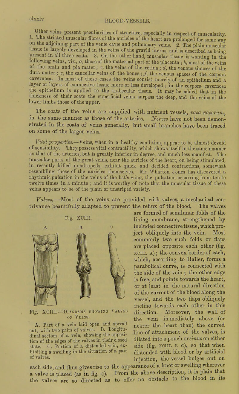 Other veins present peculiarities of structure, especially in respect of muscularity. 1. The striated muscular fibres of the auricles of the heart are prolonged for some way on the adjoining part of the vena) cavre and pulmonary veins. 2. The plain muscular tissue is largely developed in the veins of the gravid uterus, and is described as being present in all three coats. 3. On the other hand, muscular tissue is wanting in the following veins, viz., a, those of the maternal part of the placenta; b, most of the veins of the brain and pia mater; c, the veins of the retina; d, the venous sinuses of the dura mater; e, the cancellar veins of the bones ; /, the venous spaces of the corpora cavernosa. In most of these cases the veins consist merely of an epithelium and a layer or layers of connective tissue more or less developed; in the corpora cavernosa the epithelium is applied to the trabecular tissue. It may be added that in the thickness of their coats the superficial veins surpass the deep, and the veins of the lower limbs those of the upper. The coats of tlie veins are supplied with nutrient vessels, vasa vasorum, in the same manner as those of the arteries. Nerves have not been demon- strated in the coats of veins generally, but small branches have been traced on some of the larger veins. Vital properties.—Veins, when in a healthy condition, appear to be almost devoid of sensibility. They possess vital contractility, which shows itself in the same manner as that of the arteries, but is greatly inferior in degree, and much less manifest. The muscular parts of the great veins, near the auricles of the heart, on being stimulated, in recently killed quadrupeds, exhibit quick and decided contractions, somewhat resembling those of the auricles themselves. Mr. Wharton Jones has discovered a rhythmic pulsation in the veins of the bat's wing, the pulsation occurring from ten to twelve times in a minute; and it is worthy of note that the muscular tissue of these veins appears to be of the plain or unstriped variety. Valves.—Most of the veins are provided with valves, a mechanical con- trivance beautifully adapted to prevent the reflux of the blood. The valves are formed of semilunar folds of the Fig. XCIII. Fix. XCIII. Valves -DUGltAMS SUOWING 0? Veins. A. Part of a vein laid open and spread out, with two pairs of valves. B. Longitu- dinal section of a vein, showing the apposi- tion of the edges of the valves in their closed state. C. Portion of a distended vein, ex- hibiting a swelling in the situation of a pair of valves. lining membrane, strengthened by included connective tissue, which pro- ject obliquely into the vein. Most commonly two such folds or flaps are placed opposite each other (fig. xcin. a) ; the convex border of each, which, according to Haller, forms a parabolical curve, is connected with the side of the vein ; the other edge is free, and points towards the heart, or at least in the natural direction of the current of the blood along the vessel, and the two flaps obliquely incline towards each other in this direction. Moreover, the wall of the vein immediately above (or nearer the heart than) the curved line of attachment of the valves, is dilated into a pouch orsinus on either side (fig. XCIII. B o), so that when distended with blood or by artificial injection, the vessel bulges out on each side, and thus gives rise to the appearance of a knot or swelling wherever a valve is placed (as in fig. c). From the above description, it is plain that the valves are so directed as to offer no obstacle to the blood m its