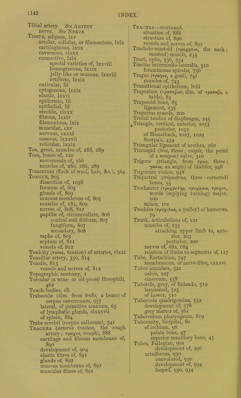 Tibial arteiy. See Arteky nerve. See Nerve Tissue, adipose, Ixv areolar, cellular, or filamentous, Ixix cartilaginous, Ixxx cavernous, clxxx connective, Ixix special varieties of, Ixxviii homogeneous, Ixxix jelly-like or mucous, Ixxviii retiform, Ixxix cuticular, lii cytogenous, Ixxix elastic, Ixxvi epidermic, lii epithelial, lii erectile, clxxx fibrous, Ixxiv filamentous, Ixix muscular, cxv nervous, cxxxi osseous, Ixxxvii reticular, Ixxix Toe, great, muscles of, 288, 289 Toes, bones of, 110 movements of, 166 muscles of, 280, 286, 289 Tomentum (flock of wool, hair, &c.), 564 Tongue, 805 dissection of, 1058 frsenum of, 805 glands of, 809 mucous membrane of, 805 muscles of, 185, 809 nerves of, 808, 812 papillEe of, circumvallate, 806 conical and filiform, 807 fungifoi-m, 807 secondary, 808 raphe of, 805 septum of, 811 vessels of, 812 Tonicity {rovos, tension) of arteries, clxxi Tonsillar artery, 350, 814 Tonsils, 813 vessels aud nerves of, 814 Topographic anatomy, i Torcular (a wine- or oil-press) Herophili, 462 Touch-bodies, cli Trabeculse (dim. from trabs, a beam) of corpus cavernosum, 957 lateral, of primitive cranium, 65 of lymphatic glands, clxxxvii of spleen, 884 Trabs cerebri (corpus callosum), 541 Trachea {arteria trachea, the rough artery ; rpax^s, rough), 888 cartilage and fibrous membrane of, 890 development of, 904 elastic fibres of, 891 glands of, 892 mucous membrane of, 892 muscular fibres of, 891 Trac [TEA—continued. situation of, 888 structure of, 890 vessels and nerves of, 892 Trachclo-mastoid {rpaxv^^os, the neck; mastoid) muscle, 235 Tract, optic, 536, 554 Tractus intermedio-laterali.s, 510 foraminosus spiralis, 756 Tragus (rpayos, a goat), 741 muscles of, 743 Transitional epithelium, Iviii Trapezium {Tpane^tov, dim. of rpawf(a, a table), 85 Trapezoid bone, 85 ligament, 135 Trapezius muscle, 200 Trefoil tendon of diaphragm, 245 ^Triangle, cervical, anterior, 1053 posterior, 1052 of Hesselbach, 1027, 1029 Scarpa's, 434 Triangular ligament of urethra, 260 Tricuspid (tres, three ; cuspis, the point of a weapon) valve, 310 Trigone (triaugle, from rpeis, three; yecvia, an angle) of bladder, 948 Trigonum vesicaj, 948 Triquetral (triquetrus, three - cornered) bones, 55 Trochanter (rpoxayrrip, rpoxaivcc, rpoxos, words implying turning) major, 100 minor, 101 Troclilea (rpoxiAea, a pulley) of humerus, 79 Tnink, articulations of, 121 muscles of, 233 attacMug upper limb to, ante- rior, 203 postei'ior, 200 nerves of, 682, 684 relation of limbs to segments of, 117 Tube, Eustachian, 747 membranous, of nerve-fibre, cxxxvi Tuber annulare, 521 calcis, 107 cinereum, 538 Tubercle, grey, of Rolando, 519 laminated, 525 of Lower, 310 Tubercula quadrigemina, 552 development of, 578 grey matter of, 561 Tuberculum pharyugeum, 819 Tuberosity, bicipital, 80 of ischium, 96 palate bone, 47 superior maxillary bone, 45 Tubes, Fallopian, 991 development of, 996 urinifcrous, 930 convoluted, 930 development of, 994 looped, 930, 934