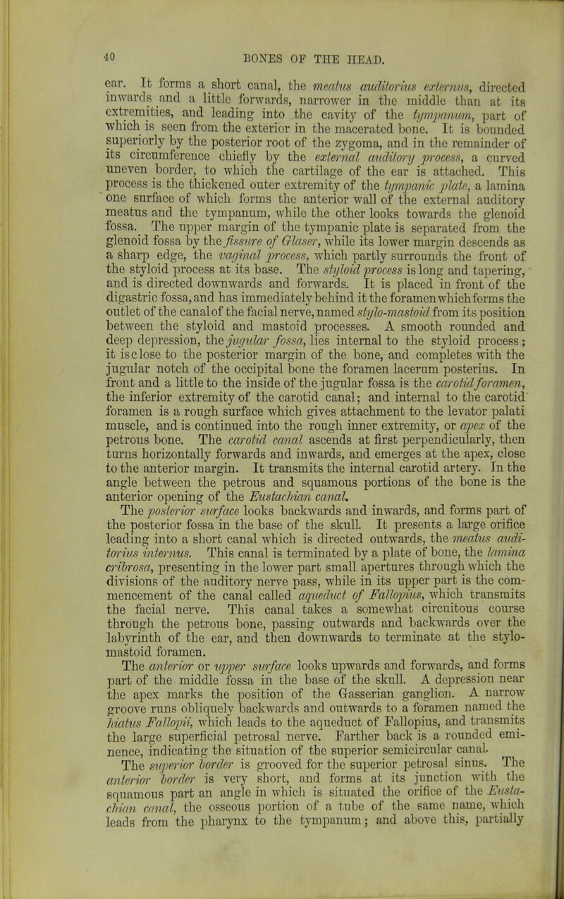 ear. It forms a short canal, the meatus audilorius ext emus, directed inwards and a little forwards, narrower in the middle than at its extremities, and leading into the cavity of the tympanum, part of which is seen from the exterior in the macerated bone. It is bounded superiorly by the posterior root of the zygoma, and in the remainder of its circumference chiefly by the external auditory process, a curved uneven border, to which the cartilage of the ear is attached. This process is the thickened outer extremity of the tympanic plate, a lamina one surface of which forms the anterior wall of the external auditory meatus and the tympanum, while the other looks towards the glenoid fossa. The upper margin of the tympanic plate is separated from the glenoid fossa by thq fissure of Glaser, while its lower margin descends as a sharp edge, the vaginal process, which partly surrounds the front of the styloid process at its base. The styloid process is long and tapering, and is directed downwards and forwards. It is placed in front of the digastric fossa, and has immediately behind it the foramen which forms the outlet of the canal of the facial nerve, named stylo-mastoid from its position between the styloid and mastoid processes. A smooth rounded and deep depression, the jugular fossa, lies internal to the styloid process; it is close to the posterior margin of the bone, and completes with the jugular notch of the occipital bone the foramen lacerum posterius. In front and a little to the inside of the jugular fossa is the carotidforamen, the inferior extremity of the carotid canal; and internal to the carotid foramen is a rough surface which gives attachment to the levator palati muscle, and is continued into the rough inner extremity, or apex of the petrous bone. The carotid canal ascends at first perpendicularly, then turns horizontally forwards and inwards, and emerges at the apex, close to the anterior margin. It transmits the internal carotid artery. In the angle between the petrous and squamous portions of the bone is the anterior opening of the Eustachian canal. The posterior surface looks backwards and inwards, and forms part of the posterior fossa in the base of the skull. It presents a large orifice leading into a short canal which is directed outwards, the meatus audi- torius internus. This canal is terminated by a plate of bone, the lamina cribrosa, presenting in the lower part small apertures through which the divisions of the auditory nerve pass, while in its upper part is the com- mencement of the canal called aqueduct of Fallopius, which transmits the facial nerve. This canal takes a somewhat circuitous course through the petrous bone, passing outwards and backwards over the labyrinth of the ear, and then downwards to terminate at the stylo- mastoid foramen. The anterior or upper surface looks upwards and forwards, and forms part of the middle fossa in the base of the skull. A depression near the apex marks the position of the Gasserian ganglion. A narrow groove runs obliquely backwards and outwards to a foramen named the hiatus Fallopiiwhich leads to the aqueduct of Fallopius, and transmits the large superficial petrosal nerve. Farther back is a rounded emi- nence, indicating the situation of the superior semicircular canal. The superior border is grooved for the superior petrosal sinus. The anterior bonin' is very short, and forms at its junction with the squamous part an angle in which is situated the orifice of the Eusta- chian canal, the osseous portion of a tube of the same name, which leads from the pharynx to the tympanum; and above this, partially