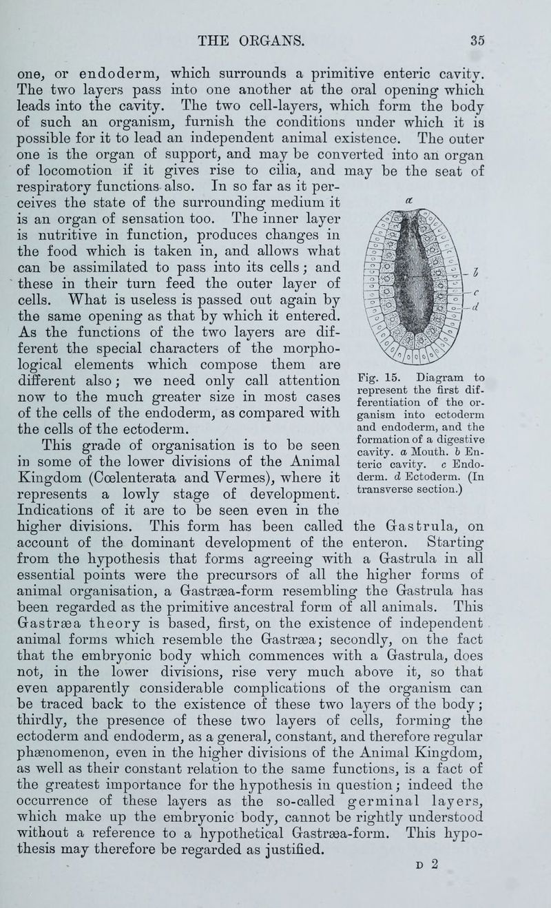 one_, or en do derm, whicli surrounds a primitive enteric cavity. The two layers pass into one another at the oral opening which leads into the cavity. The two cell-layers, which form the body of such an organism, furnish the conditions under which it is possible for it to lead an independent animal existence. The outer one is the organ of support, and may be converted into an organ of locomotion if it gives rise to cilia, and may be the seat of respiratory functions also. In so far as it per- ceives the state of the surrounding medium it is an organ of sensation too. The inner layer is nutritive in function, produces changes in the food which is taken in, and allows what can be assimilated to pass into its cells; and ' these in their turn feed the outer layer of cells. What is useless is passed out again by the same opening as that by which it entered. As the functions of the two layers are dif- ferent the special characters of the morpho- logical elements which compose them are different also; we need only call attention now to the much greater size in most cases of the cells of the endoderm, as compared with the cells of the ectoderm. This grade of organisation is to be seen in some of the lower divisions of the Animal Kingdom (Coelenterata and Yermes), where it represents a lowly stage of development. Indications of it are to be seen even in the higher divisions. This form has been called account of the dominant development of the from the hypothesis that forms agreeing with a G-astrula in all essential points were the precursors of all the higher forms of animal organisation, a Gastraea-form resembling the Gastrula has been regarded as the primitive ancestral form of all animals. This Gastraea theory is based, first, on the existence of independent animal forms which resemble the Gastraea; secondly, on the fact that the embryonic body which commences with a Gastrula, does not, in the lower divisions, rise very much above it, so that even apparently considerable complications of the organism can be traced back to the existence of these two layers of the body; thirdly, the presence of these two layers of cells, forming the ectoderm and endoderm, as a general, constant, and therefore regular phaenomenon, even in the higher divisions of the Animal Kingdom, as well as their constant relation to the same functions, is a fact of the greatest importance for the hypothesis in question; indeed the occurrence of these layers as the so-called germinal layers, which make up the embryonic body, cannot be rightly understood without a reference to a hypothetical Gastrasa-form. This hypo- thesis may therefore be regarded as justified. D 2 a. I c d Fig. 15. Diagram to represent the first dif- ferentiation of the or- ganism into ectoderm and endoderm, and the formation of a digestive cavity, a Mouth, h En- teric cavity, c Endo- derm. d Ectoderm. (In transverse section.) the Gastrula, on enteron. Starting