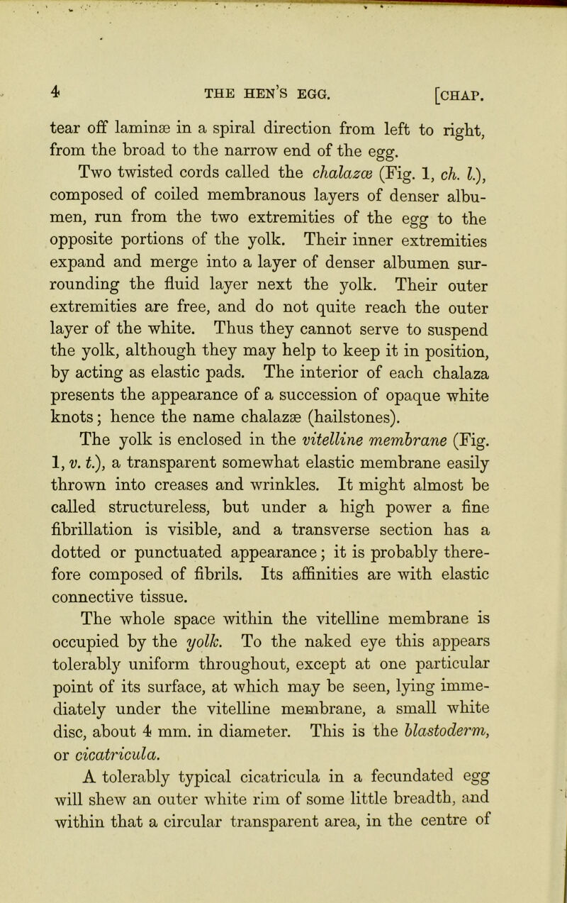 tear off laminae in a spiral direction from left to right, from the broad to the narrow end of the egg. Two twisted cords called the chalazce (Fig. 1, ch. 1), composed of coiled membranous layers of denser albu- men, run from the two extremities of the egg to the opposite portions of the yolk. Their inner extremities expand and merge into a layer of denser albumen sur- rounding the fluid layer next the yolk. Their outer extremities are free, and do not quite reach the outer layer of the white. Thus they cannot serve to suspend the yolk, although they may help to keep it in position, by acting as elastic pads. The interior of each chalaza presents the appearance of a succession of opaque white knots; hence the name chalazse (hailstones). The yolk is enclosed in the vitelline membrane (Fig. 1, v. t.), a transparent somewhat elastic membrane easily thrown into creases and wrinkles. It might almost be called structureless, but under a high power a fine fibrillation is visible, and a transverse section has a dotted or punctuated appearance; it is probably there- fore composed of fibrils. Its affinities are with elastic connective tissue. The whole space within the vitelline membrane is occupied by the yolk. To the naked eye this appears tolerably uniform throughout, except at one particular point of its surface, at which may be seen, lying imme- diately under the vitelline membrane, a small white disc, about 4 mm. in diameter. This is the blastoderm, or cicatricula. A tolerably typical cicatricula in a fecundated egg will shew an outer white rim of some little breadth, and within that a circular transparent area, in the centre of