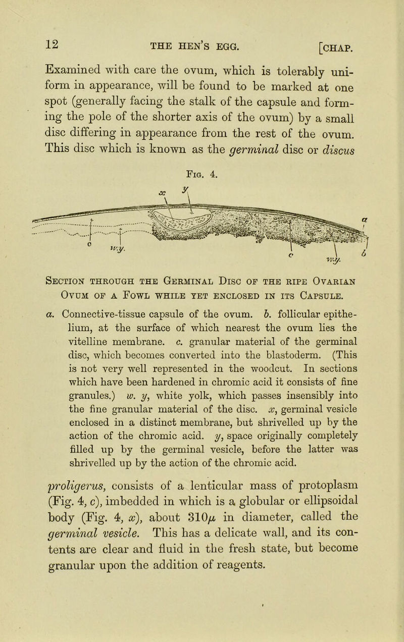 Examined with care the ovum, which is tolerably uni- form in appearance, will be found to be marked at one spot (generally facing the stalk of the capsule and form- ing the pole of the shorter axis of the ovum) by a small disc differing in appearance from the rest of the ovum. This disc which is known as the germinal disc or discus Fig. 4. Section through the Germinal Disc of the ripe Ovarian Ovum of a Fowl while yet enclosed in its Capsule. a. Connective-tissue capsule of the ovum. b. follicular epithe- lium, at the surface of which nearest the ovum lies the vitelline membrane, c. granular material of the germinal disc, which becomes converted into the blastoderm. (This is not very well represented in the woodcut. In sections which have been hardened in chromic acid it consists of fine granules.) w. y, white yolk, which passes insensibly into the fine granular material of the disc, x, germinal vesicle enclosed in a distinct membrane, but shrivelled up by the action of the chromic acid, y, space originally completely filled up by the germinal vesicle, before the latter was shrivelled up by the action of the chromic acid. proligerus, consists of a lenticular mass of protoplasm (Fig. 4, c), imbedded in which is a globular or ellipsoidal body (Fig. 4, a?), about 310//, in diameter, called the germinal vesicle. This has a delicate wall, and its con- tents are clear and fluid in the fresh state, but become granular upon the addition of reagents.