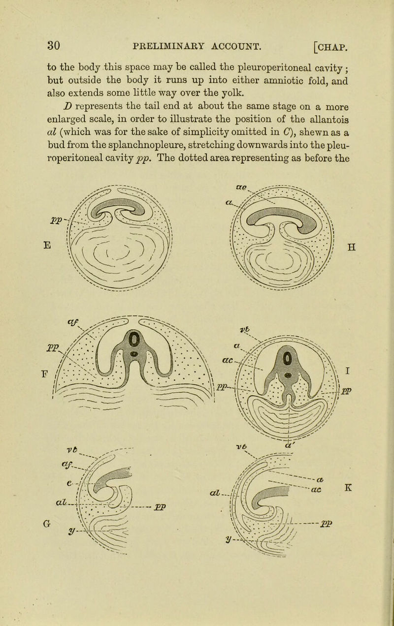 to the body this space may be called the pleuroperitoneal cavity ; but outside the body it runs up into either amniotic fold, and also extends some little way over the yolk. D represents the tail end at about the same stage on a more enlarged scale, in order to illustrate the position of the allantois al (which was for the sake of simplicity omitted in C), shewn as a bud from the splanchnopleure, stretching downwards into the pleu- roperitoneal cavity pp. The dotted area representing as before the H i