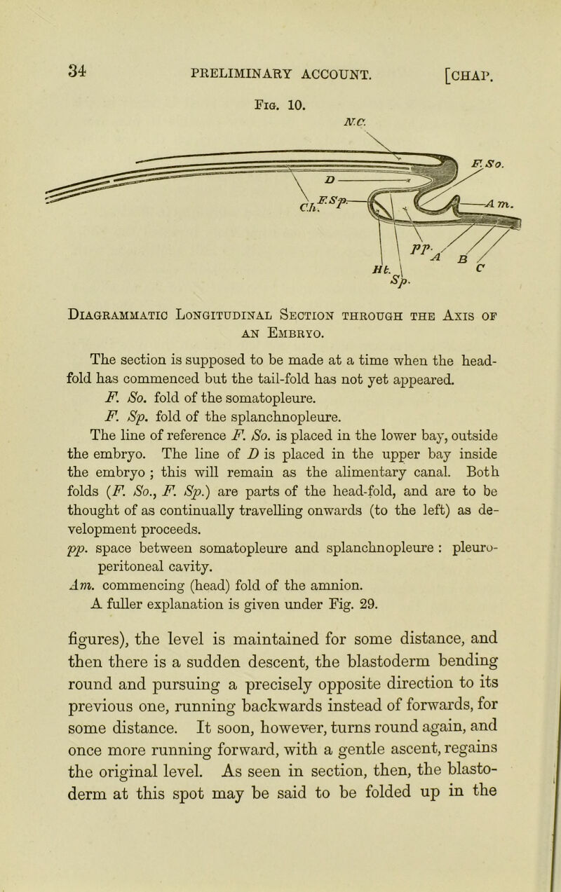 Fig. 10. N.C. Diagrammatic Longitudinal Section through the Axis of an Embryo. The section is supposed to be made at a time when the head- fold has commenced but the tail-fold has not yet appeared. F. So. fold of the somatopleure. F. Sp. fold of the splanchnopleure. The line of reference F. So. is placed in the lower bay, outside the embryo. The line of D is placed in the upper bay inside the embryo ; this will remain as the alimentary canal. Both folds {F. So., F. Sp.) are parts of the head-fold, and are to be thought of as continually travelling onwards (to the left) as de- velopment proceeds. pp. space between somatopleure and splanchnopleure : pleuro- peritoneal cavity. Am. commencing (head) fold of the amnion. A fuller explanation is given under Fig. 29. figures), the level is maintained for some distance, and then there is a sudden descent, the blastoderm bending round and pursuing a precisely opposite direction to its previous one, running backwards instead of forwards, for some distance. It soon, however, turns round again, and once more running forward, with a gentle ascent, regains the original level. As seen in section, then, the blasto- derm at this spot may be said to be folded up in the