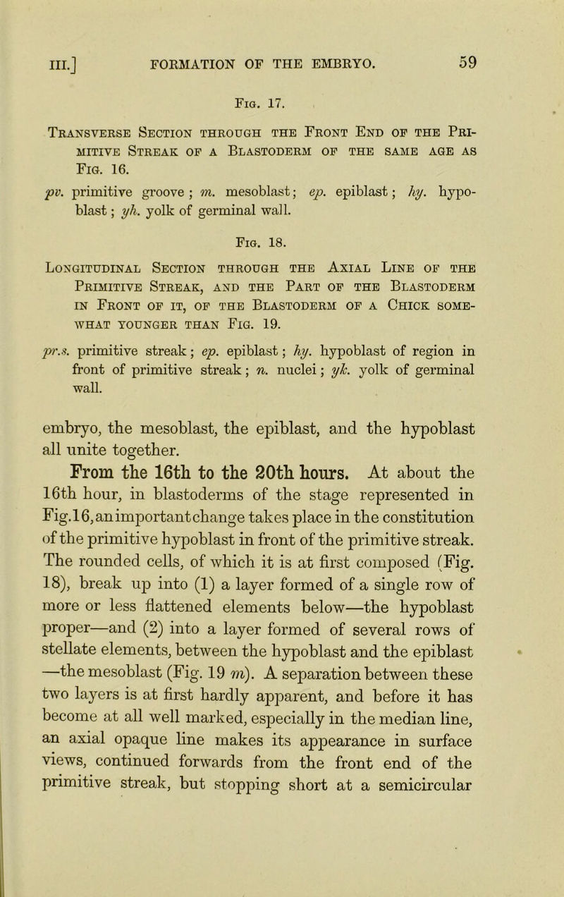 Fig. 17. Transverse Section through the Front End of the Pri- mitive Streak of a Blastoderm of the same age as Fig. 16. pv. primitive groove ; m. mesoblast; ep. epiblast; hy. hypo- blast ; yh. yolk of germinal wall. Fig. 18. Longitudinal Section through the Axial Line of the Primitive Streak, and the Part of the Blastoderm in Front of it, of the Blastoderm of a Chick some- what YOUNGER THAN FlG. 19. p'.s. primitive streak; ep. epiblast; hy. hypoblast of region in front of primitive streak; n. nuclei; yh. yolk of germinal wall. embryo, the mesoblast, the epiblast, and the hypoblast all unite together. From the 16th to the 20th hours. At about the 16th hour, in blastoderms of the stage represented in Fig. 16, an important change takes place in the constitution of the primitive hypoblast in front of the primitive streak. The rounded cells, of which it is at first composed (Fig. 18), break up into (1) a layer formed of a single row of more or less flattened elements below—the hypoblast proper—and (2) into a layer formed of several rows of stellate elements, between the hypoblast and the epiblast —the mesoblast (Fig. 19m). A separation between these two layers is at first hardly apparent, and before it has become at all well marked, especially in the median line, an axial opaque line makes its appearance in surface views, continued forwards from the front end of the primitive streak, but stopping short at a semicircular