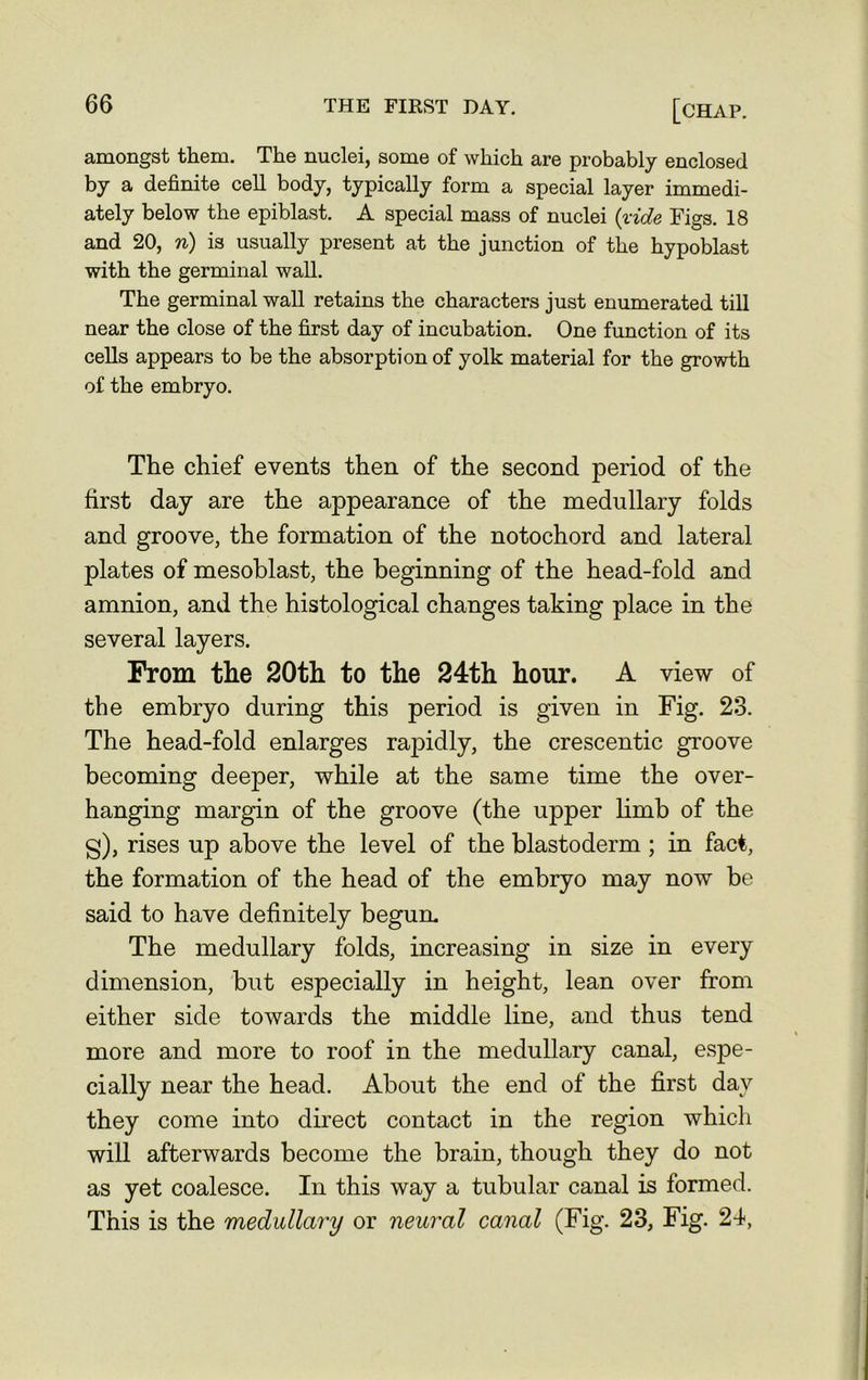 amongst them. The nuclei, some of which are probably enclosed by a definite cell body, typically form a special layer immedi- ately below the epiblast. A special mass of nuclei {vide Figs. 18 and 20, n) is usually present at the junction of the hypoblast with the germinal wall. The germinal wall retains the characters just enumerated till near the close of the first day of incubation. One function of its cells appears to be the absorption of yolk material for the growth of the embryo. The chief events then of the second period of the first day are the appearance of the medullary folds and groove, the formation of the notochord and lateral plates of mesoblast, the beginning of the head-fold and amnion, and the histological changes taking place in the several layers. From the 20th to the 24th hour. A view of the embryo during this period is given in Fig. 23. The head-fold enlarges rapidly, the crescentic groove becoming deeper, while at the same time the over- hanging margin of the groove (the upper limb of the g), rises up above the level of the blastoderm ; in fact, the formation of the head of the embryo may now be said to have definitely begum The medullary folds, increasing in size in every dimension, but especially in height, lean over from either side towards the middle line, and thus tend more and more to roof in the medullary canal, espe- cially near the head. About the end of the first day they come into direct contact in the region which will afterwards become the brain, though they do not as yet coalesce. In this way a tubular canal is formed. This is the medullary or neural canal (Fig. 23, Fig 21,