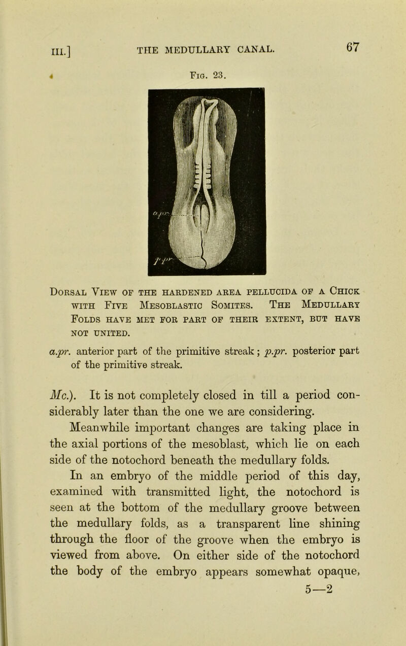 Fig. 23. Dorsal View of the hardened area pellucida of a Chick with Five Mesoblastic Somites. The Medullary Folds have met for part of their extent, but have not united. a.pr. anterior part of the primitive streak; p.pr. posterior part of the primitive streak. Me.). It is not completely closed in till a period con- siderably later than the one we are considering. Meanwhile important changes are taking place in the axial portions of the mesoblast, which lie on each side of the notochord beneath the medullary folds. In an embryo of the middle period of this day, examined with transmitted light, the notochord is seen at the bottom of the medullary groove between the medullary folds, as a transparent line shining through the floor of the groove when the embryo is viewed from above. On either side of the notochord the body of the embryo appears somewhat opaque, 5—2