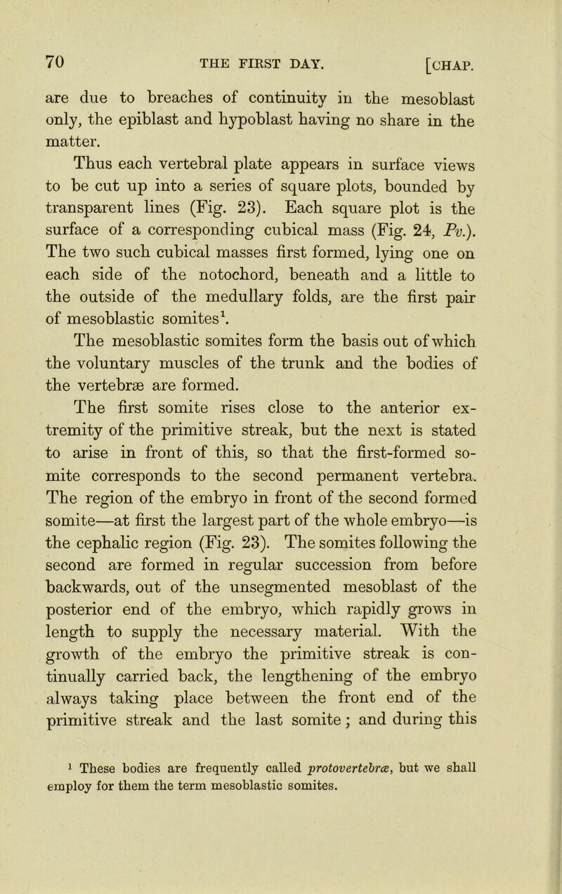 are due to breaches of continuity in the mesoblast only, the epiblast and hypoblast having no share in the matter. Thus each vertebral plate appears in surface views to be cut up into a series of square plots, bounded by transparent lines (Fig. 23). Each square plot is the surface of a corresponding cubical mass (Fig. 24, Pv.). The two such cubical masses first formed, lying one on each side of the notochord, beneath and a little to the outside of the medullary folds, are the first pair of mesoblastic somites1. The mesoblastic somites form the basis out of which the voluntary muscles of the trunk and the bodies of the vertebrae are formed. The first somite rises close to the anterior ex- tremity of the primitive streak, but the next is stated to arise in front of this, so that the first-formed so- mite corresponds to the second permanent vertebra. The region of the embryo in front of the second formed somite—at first the largest part of the whole embryo—is the cephalic region (Fig. 23). The somites following the second are formed in regular succession from before backwards, out of the unsegmented mesoblast of the posterior end of the embryo, which rapidly grows in length to supply the necessary material. With the growth of the embryo the primitive streak is con- tinually carried back, the lengthening of the embryo always taking place between the front end of the primitive streak and the last somite; and during this 1 These bodies are frequently called protovertebrcs, but we shall employ for them the term mesoblastic somites.