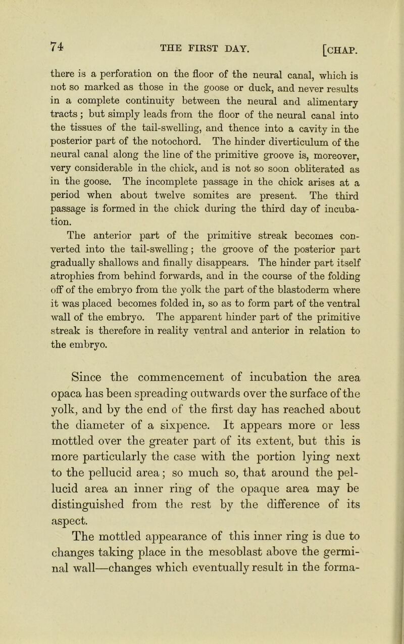 there is a perforation on the floor of the neural canal, which is not so marked as those in the goose or duck, and never results in a complete continuity between the neural and alimentary tracts; but simply leads from the floor of the neural canal into the tissues of the tail-swelling, and thence into a cavity in the posterior part of the notochord. The hinder diverticulum of the neural canal along the line of the primitive groove is, moreover, very considerable in the chick, and is not so soon obliterated as in the goose. The incomplete }:>assage in the chick arises at a period when about twelve somites are present. The third passage is formed in the chick during the third day of incuba- tion. The anterior part of the primitive streak becomes con- verted into the tail-swelling; the groove of the posterior part gradually shallows and finally disappears. The hinder part itself atrophies from behind forwards, and in the course of the folding off of the embryo from the yolk the part of the blastoderm where it was placed becomes folded in, so as to form part of the ventral wall of the embryo. The apparent hinder part of the primitive streak is therefore in reality ventral and anterior in relation to the embryo. Since the commencement of incubation the area opaca has been spreading outwards over the surface of the yolk, and by the end of the first day has reached about the diameter of a sixpence. It appears more or less mottled over the greater part of its extent, but this is more particularly the case with the portion lying next to the pellucid area; so much so, that around the pel- lucid area an inner ring of the opaque area may be distinguished from the rest by the difference of its aspect. The mottled aj3pearance of this inner ring is due to changes taking place in the mesoblast above the germi- nal wall—changes which eventually result in the forma-