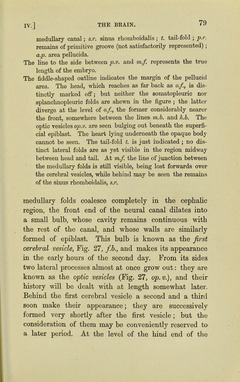 medullary canal; s.r. sinus rhomboidalis ; t. tail-fold ; p.r. remains of primitive groove (not satisfactorily represented) ; a.p. area pellucida. The line to the side between p.v. and m.f. represents the true length of the embryo. The fiddle-shaped outline indicates the margin of the pellucid area. The head, which reaches as far back as of, is dis- tinctly marked off; but neither the somatopleuric nor splanchnopleuric folds are shewn in the figure ; the latter diverge at the level of of, the former considerably nearer the front, somewhere between the lines m.b. and h.b. The optic vesicles op.v. are seen bulging out beneath the superfi- cial epiblast. The heart lying underneath the opaque body cannot be seen. The tail-fold t. is just indicated ; no dis- tinct lateral folds are as yet visible in the region midway between head and tail. At m.f. the line of junction between the medullary folds is still visible, being lost forwards over the cerebral vesicles, while behind may be seen the remains of the sinus rhomboidalis, s.r. medullary folds coalesce completely in the cephalic region, the front end of the neural canal dilates into a small bulb, whose cavity remains continuous with the rest of the canal, and whose walls are similarly formed of epiblast. This bulb is known as the first cerebral vesicle, Fig. 27, f.b., and makes its appearance in the early hours of the second day. From its sides two lateral processes almost at once grow out: they are known as the optic vesicles (Fig. 27, op.v.), and their history will be dealt with at length somewhat later. Behind the first cerebral vesicle a second and a third soon make their appearance; they are successively formed very shortly after the first vesicle; but the consideration of them may be conveniently reserved to a later period. At the level of the hind end of the