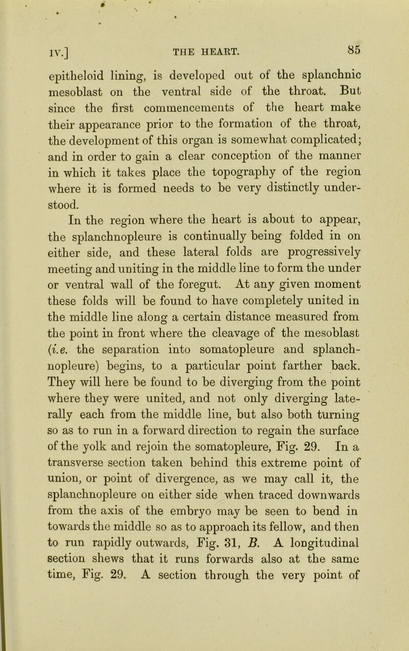 epitheloid lining, is developed out of the splanchnic mesoblast on the ventral side of the throat. But since the first commencements of the heart make their appearance prior to the formation of the throat, the development of this organ is somewhat complicated; and in order to gain a clear conception of the manner in which it takes place the topography of the region where it is formed needs to be very distinctly under- stood. In the region where the heart is about to appear, the splanchnopleure is continually being folded in on either side, and these lateral folds are progressively meeting and uniting in the middle line to form the under or ventral wall of the foregut. At any given moment these folds will be found to have completely united in the middle line along a certain distance measured from the point in front where the cleavage of the mesoblast (i.e. the separation into somatopleure and splanch- nopleure) begins, to a particular point farther back. They will here be found to be diverging from the point where they were united, and not only diverging late- rally each from the middle line, but also both turning so as to run in a forward direction to regain the surface of the yolk and rejoin the somatopleure, Fig. 29. In a transverse section taken behind this extreme point of union, or point of divergence, as we may call it, the splanchnopleure on either side when traced downwards from the axis of the embryo may be seen to bend in towards the middle so as to approach its fellow, and then to run rapidly outwards, Fig. 31, B. A longitudinal section shews that it runs forwards also at the same time, Fig. 29. A section through the very point of