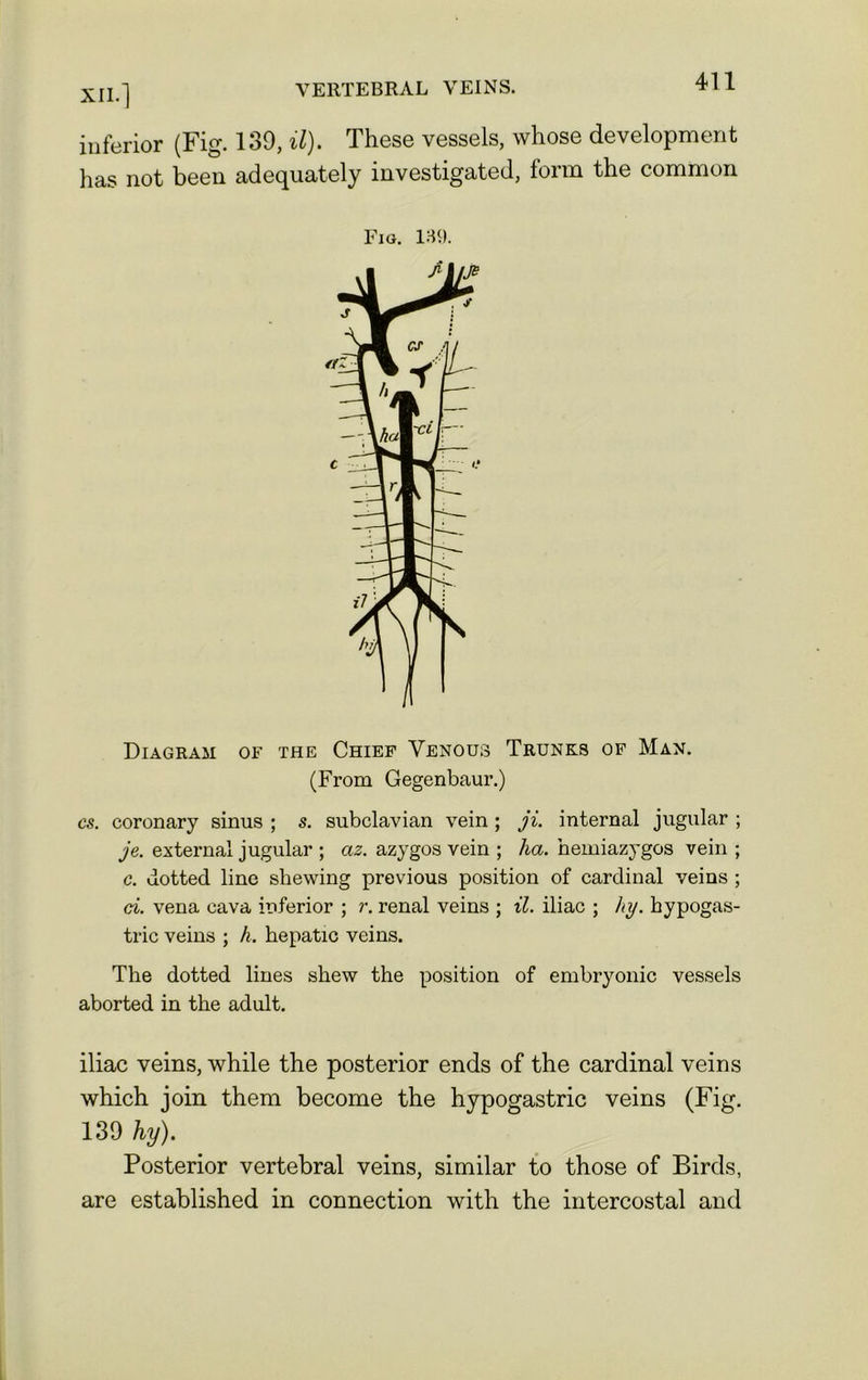 VERTEBRAL VEINS. inferior (Fig. 139, il). These vessels, whose development has not been adequately investigated, form the common Fig. 139. Diagram of the Chief Venous Trunks of Man. (From Gegenbaur.) cs. coronary sinus ; s. subclavian vein ; ji. internal jugular ; je. external jugular ; az. azygos vein ; ha. hemiazygos vein ; c. dotted line shewing previous position of cardinal veins ; ci. vena cava inferior ; r. renal veins ; il. iliac ; hy. hypogas- tric veins ; h. hepatic veins. The dotted lines shew the position of embryonic vessels aborted in the adult. iliac veins, while the posterior ends of the cardinal veins which join them become the hypogastric veins (Fig. 139 hy). Posterior vertebral veins, similar to those of Birds, are established in connection with the intercostal and