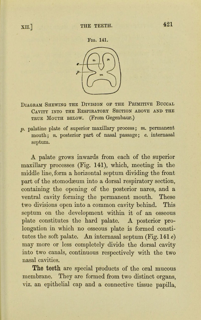 THE TEETH. XH.] Fig. 141. Diagram Shewing the Division op the Primitive Buccal Cavity into the Respiratory Section above and the true Mouth below. (From Gegenbaur.) p. palatine plate of superior maxillary process; m. permanent mouth; n. posterior part of nasal passage; e. internasal septum. A palate grows inwards from each of the superior maxillary processes (Fig. 141), which, meeting in the middle line, form a horizontal septum dividing the front part of the stomodaeum into a dorsal respiratory section, containing the opening of the posterior nares, and a ventral cavity forming the permanent mouth. These two divisions open into a common cavity behind. This septum on the development within it of an osseous plate constitutes the hard palate. A posterior pro- longation in which no osseous plate is formed consti- tutes the soft palate. An internasal septum (Fig. 141 e) may more or less completely divide the dorsal cavity into two canals, continuous respectively with the two nasal cavities. The teeth are special products of the oral mucous membrane. They are formed from two distinct organs, viz. an epithelial cap and a connective tissue papilla,