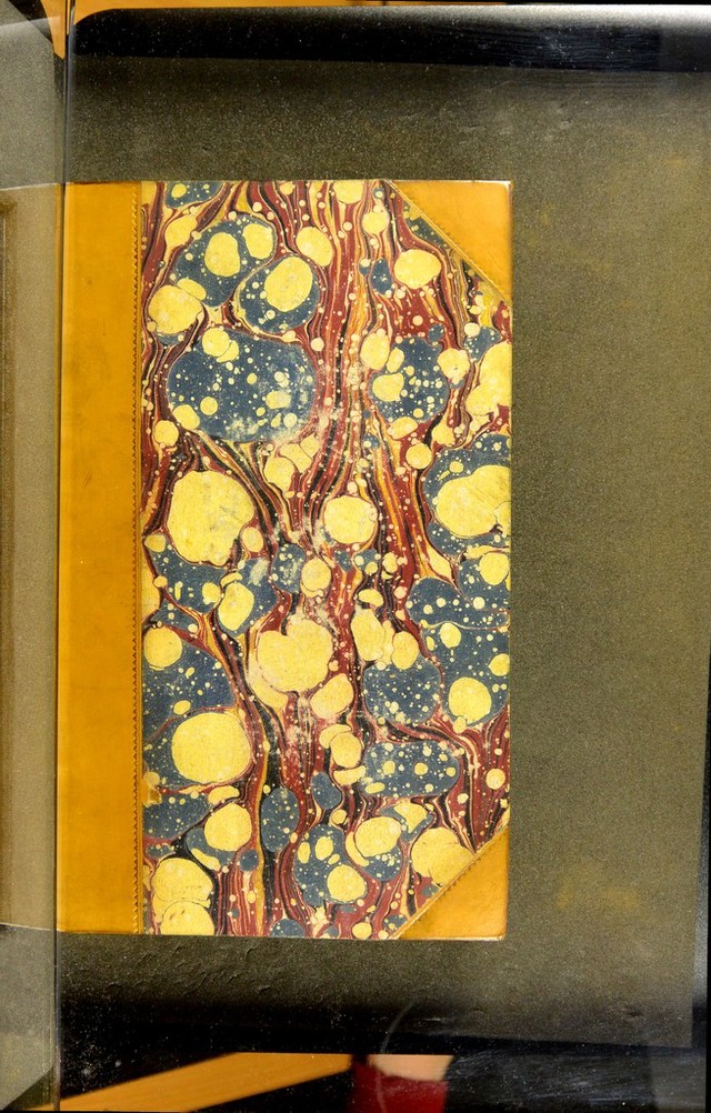 No text description is available for this image