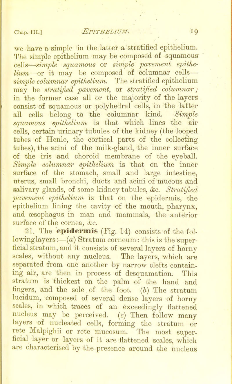 we have a simplp in the latter a stratified epithelium. Tlie simple epithelium may be composed of squamous cells—simple squamous or simple iKtvement epithe- lium—or it may be composed of columnar cells— simple columnar epithelium. The stratified epithelium may be stratified pavement, or stratified colwmiar; in the former case all or the majority of the layers consist of squamous or polyhedral cells, in the latter all cells belong to the columnar kind. Simple squamous epithelium is that which lines the air cells, certain urinary tubules of the kidney (the looped tubes of Henle, the cortical parts of the collecting tubes), the acini of the milk-gland, the inner surface of the iris and choroid membrane of the eyeball. Simple columnar epithelium is that on the inner surface of the stomach, small and large intestine, uterus, small bronchi, ducts and acini of mucous and salivary glands, of some kidney tubules, &c. Stratified jMvement epithelium is that on the epidermis, the epithelium lining the cavity of the mouth, pharynx, and oesophagus in man and mammals, the anterior surface of the cornea, &c. 21. The epidermis (Fig. 14) consists of the fol- lowing layers:—(a) Sti-atum corneum: this is the sujier- ficial stratum, and it consists of several layers of horny scales, without any nucleus. The layers, which are separated from one another by narrow clefts contain- ing air, are then in process of desquamation. This stratum is thickest on the palm of the hand and fingers, and the sole of the foot, {h) The stratum lucidum, composed of several dense layers of horny scales, in which traces of an exceedingly flattened nucleus may be perceived, (c) Then follow many layers of nucleated cells, forming the stratum or rete Malpighii or rete mucosum. The most super- ficial layer or layers of it are flattened scales, which are characterised by the presence around the nucleus