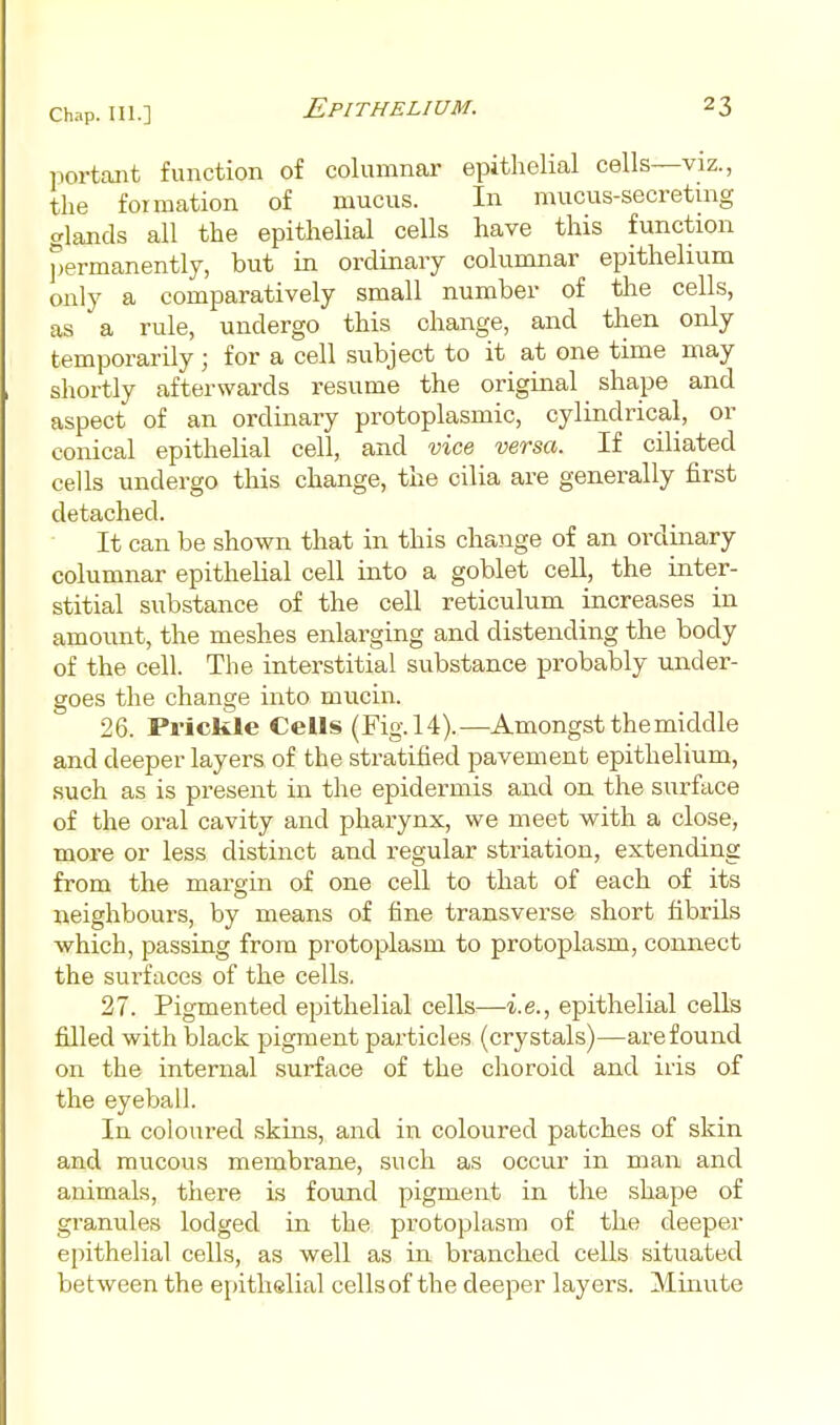 portant function of columnar epithelial cells—viz., the formation of mucus. In mucus-secretmg glands all the epithelial cells have this function permanently, but in ordinary columnar epithelium only a comparatively small number of the cells, as a rule, undergo this change, and then only temporarily; for a cell subject to it at one time may shortly afterwards resume the original shape and aspect of an ordinary protoplasmic, cylindrical, or conical epithelial cell, and vice versa. If ciliated cells undergo this change, the cilia are generally first detached. It can be shown that in this change of an ordinary columnar epithelial cell into a goblet cell, the inter- stitial substance of the cell reticulum increases in amount, the meshes enlarging and distending the body of the cell. The interstitial substance probably under- goes the change into mucin. 26. Prickle Cells (Fig. 14).—Amongst the middle and deeper layers of the stratified pavement epithelium, such as is present in the epidermis and on the surface of the oral cavity and pharynx, we meet with a close, more or less distinct and regular striation, extending from the margin of one cell to that of each of its neighbours, by means of fine transverse short fibrils which, passing from protoplasm to protoplasm, connect the surfaces of the cells, 27. Pigmented epithelial cells—i.e., epithelial cells filled with black pigment particles (crystals)—are found on the internal surface of the choroid and iris of the eyeball. In coloured skins, and in coloured patches of skin and mucous membrane, such as occur in man and animals, there is found pigment in the shape of granules lodged in the protoplasm of the deeper epithelial cells, as well as in branched cells situated between the epithelial cells of the deeper layers. Minute